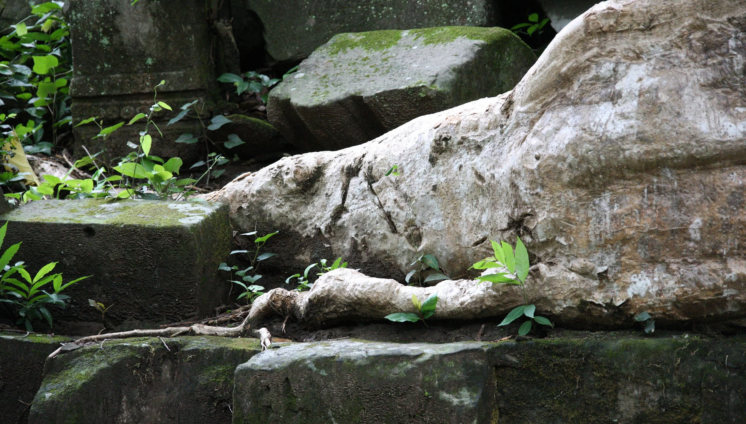 BENG MEALEA - CAMBODIA - JULY 2010 (13).JPG
