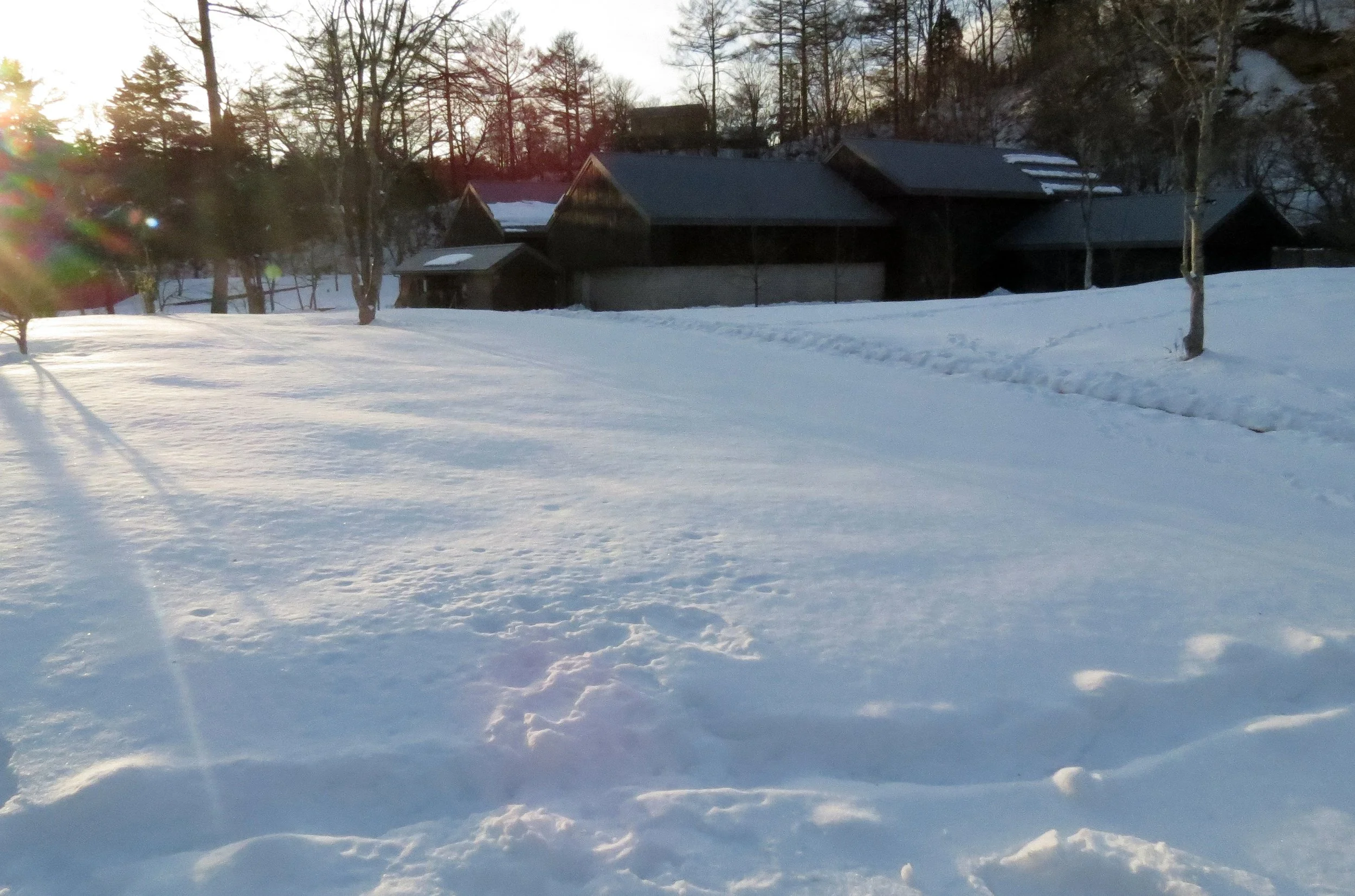 KARUIZAWA - PICCHIO TREK AND TALK (12).JPG