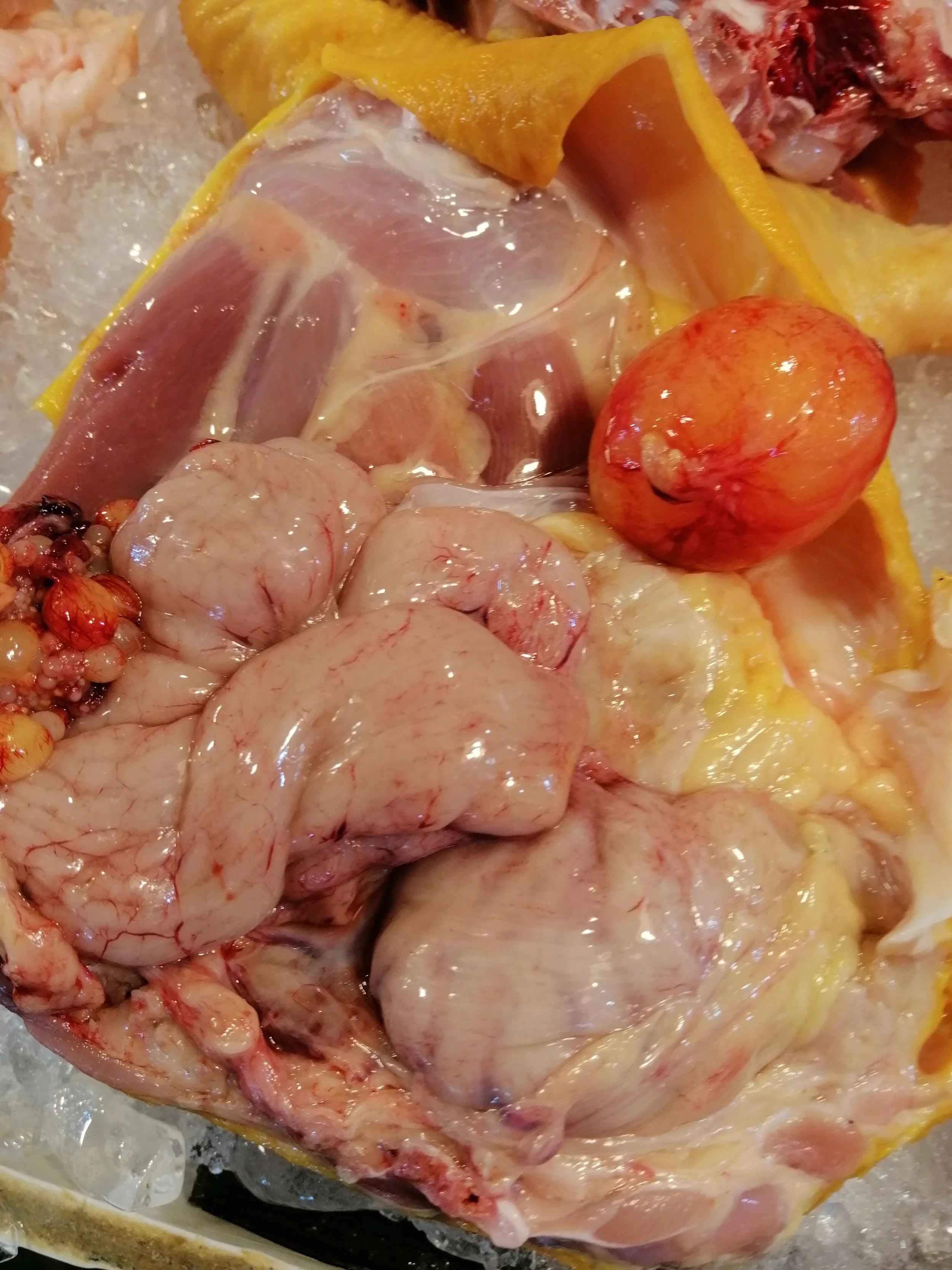 2019 Motorcycle Ride with Cokie to Samut Prakan  (191).jpg