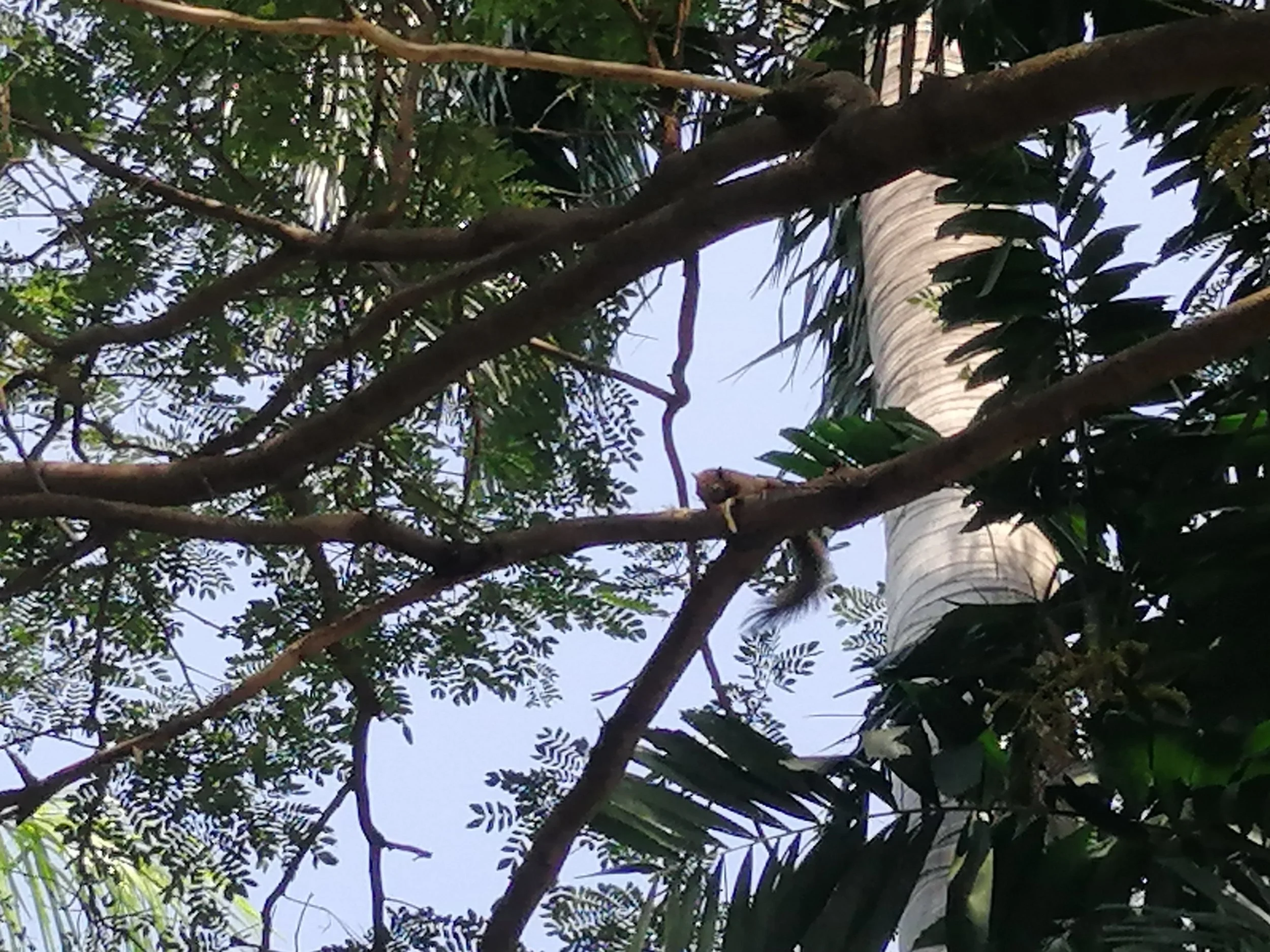 2019 Nakhon Pathom Trip Temples with Cokie (17).jpg