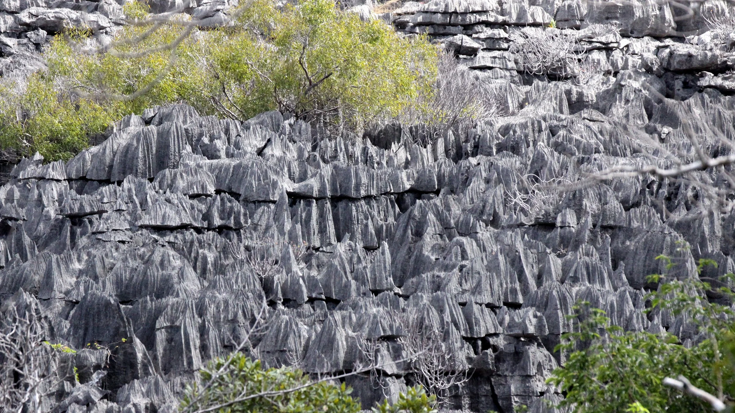 ANKARANA NATIONAL PARK MADAGASCAR - TSINGY FOREST (54).JPG