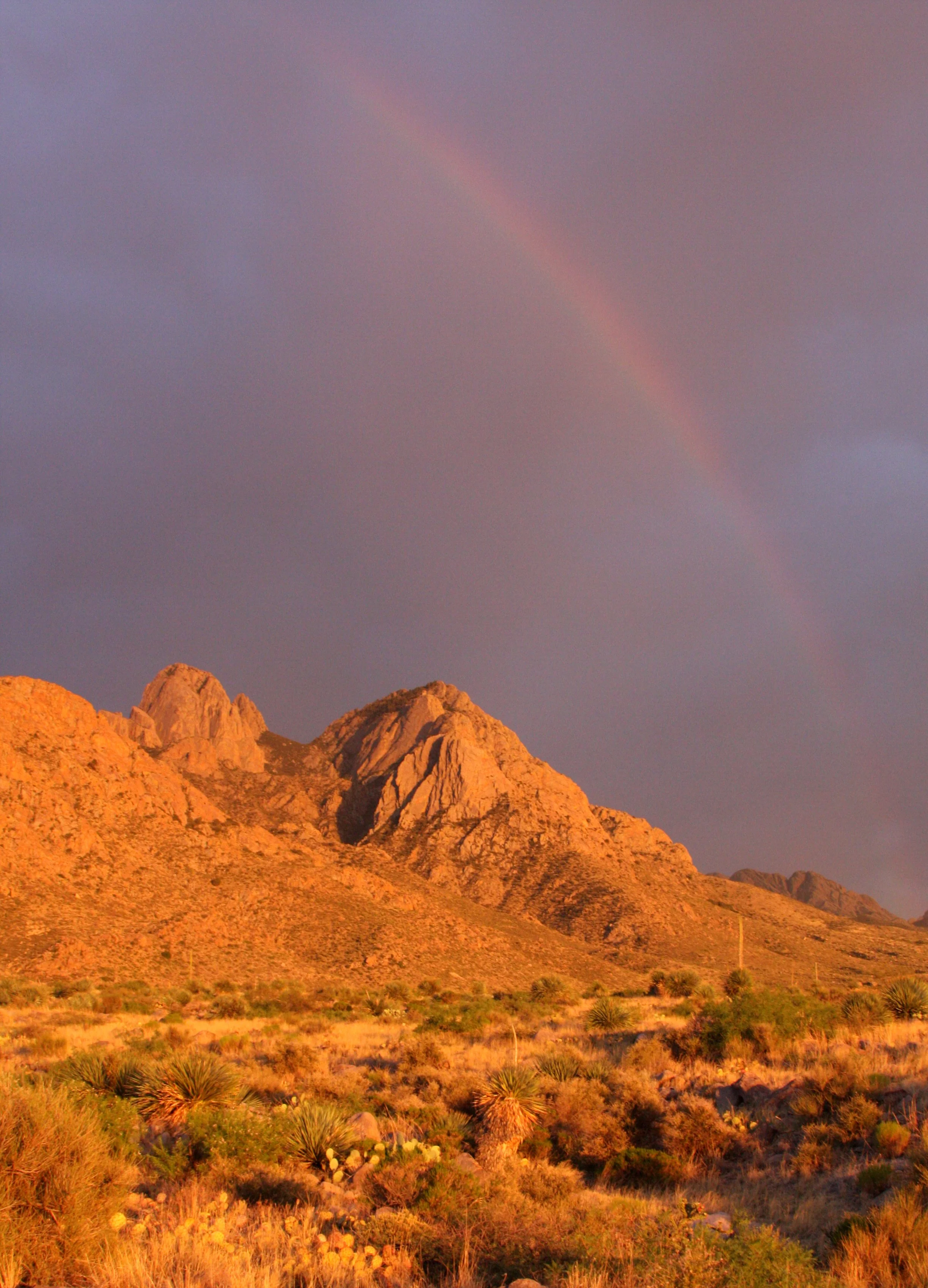 LAS CRUCES NEW MEXICO - ORGAN MOUNTAINS (16).JPG