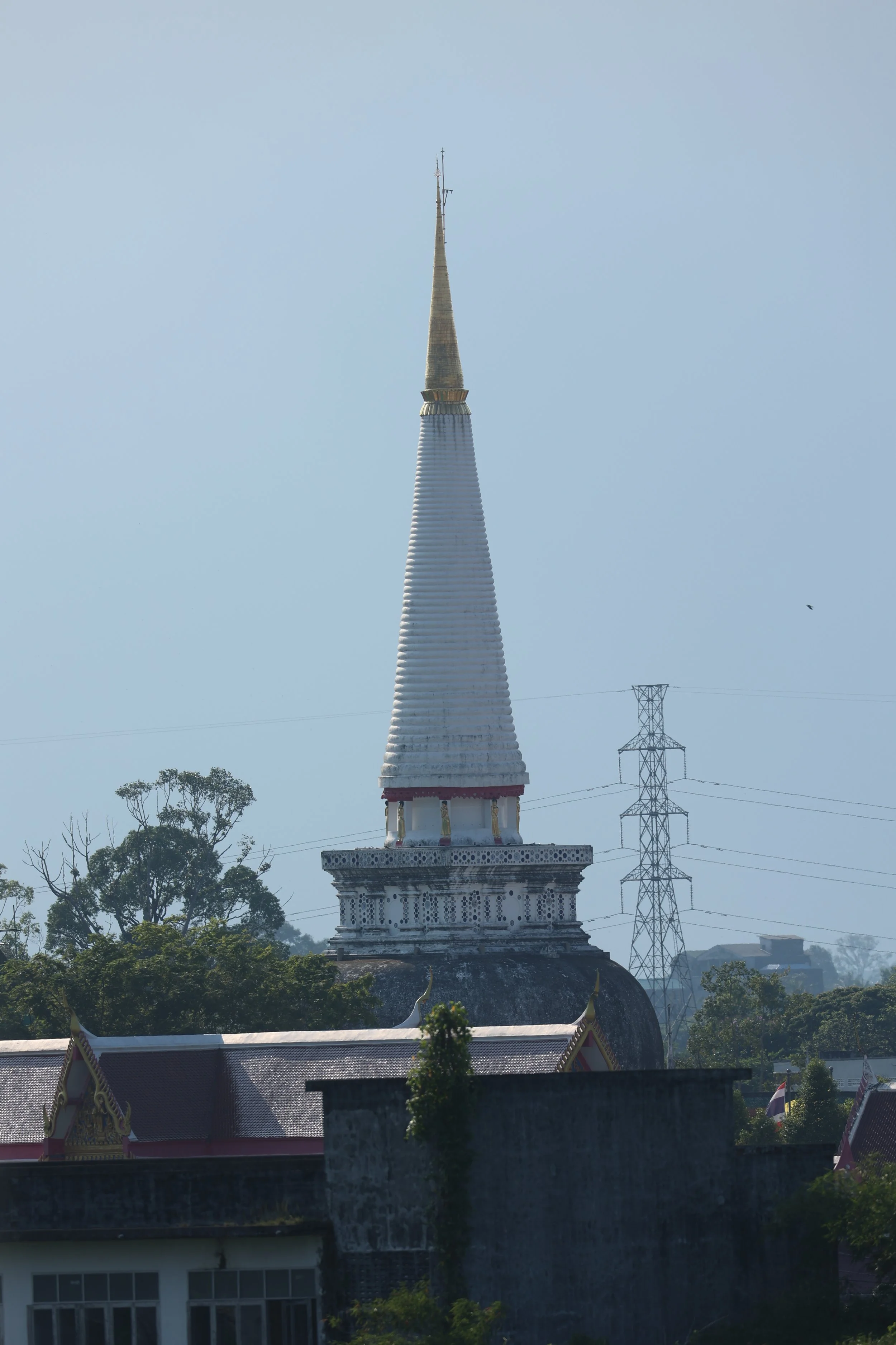 2022 Nakhonsithammarat with Cokie (1).JPG