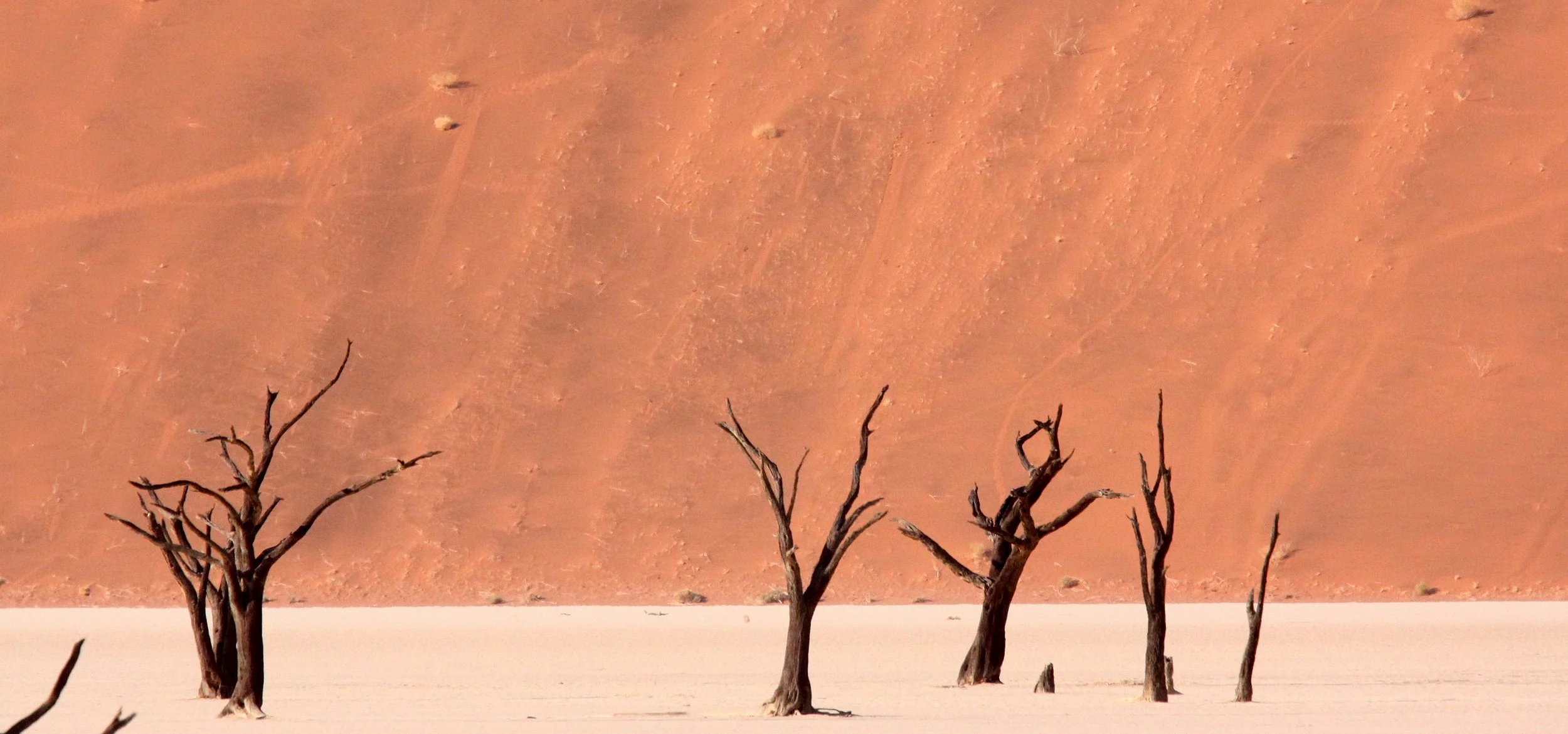 SOSSUSVLEI, NAMIB NAUKLUFT NATIONAL PARK, NAMIBIA - DEAD VLEI (11).JPG