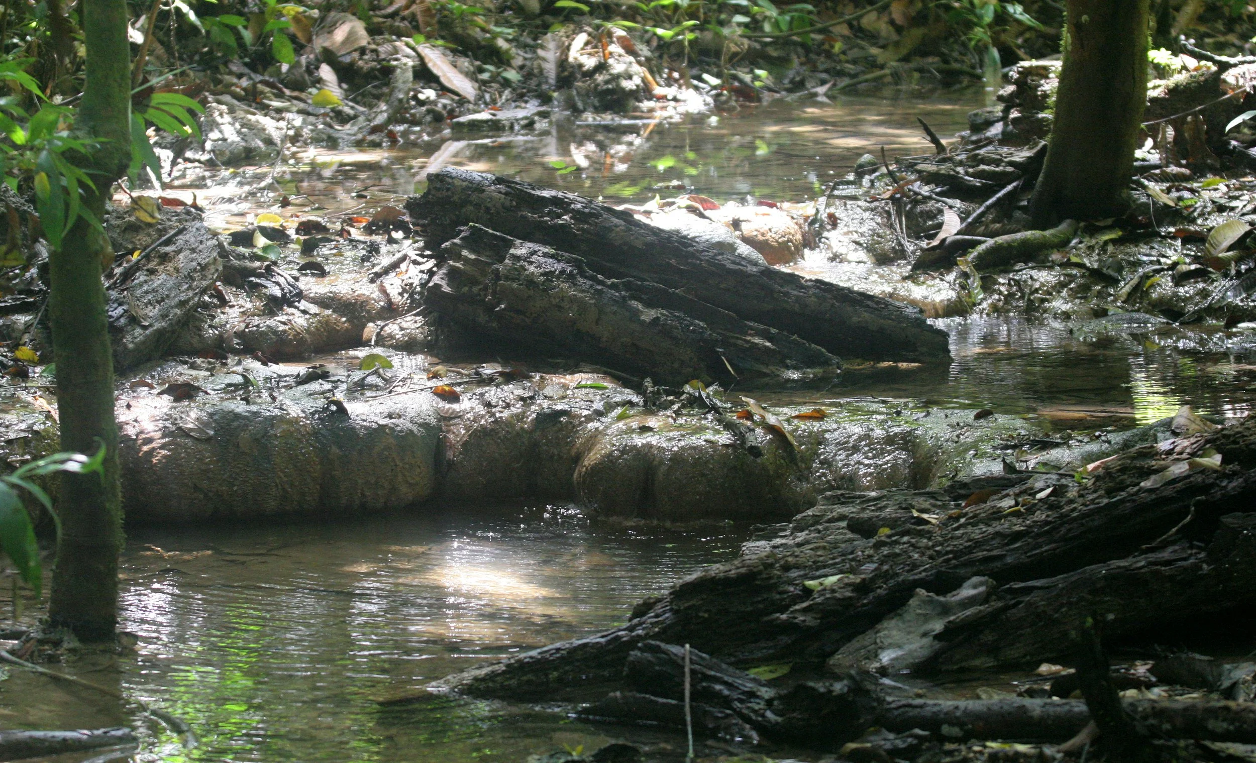 2008 Khao Luang NP Krung Chin Waterfalls Area (21).JPG