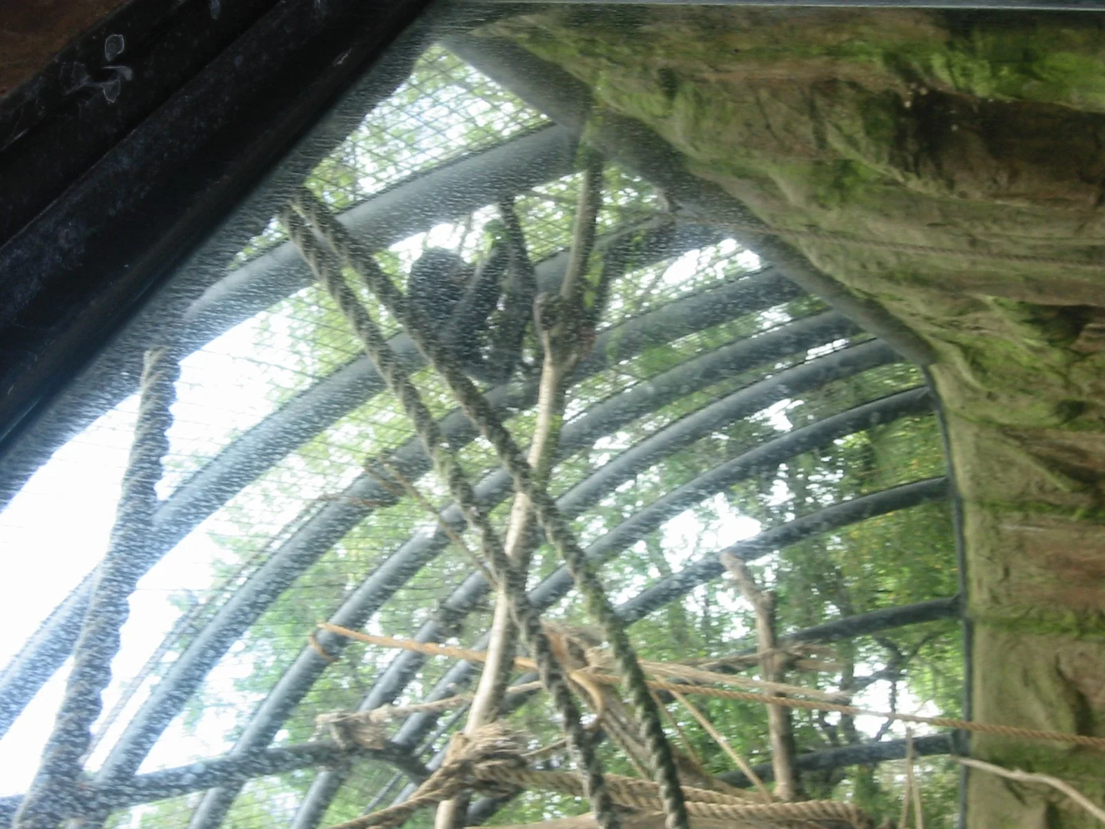 2003-4-1 SPRING TRIP TO SACRAMENTO (122).JPG