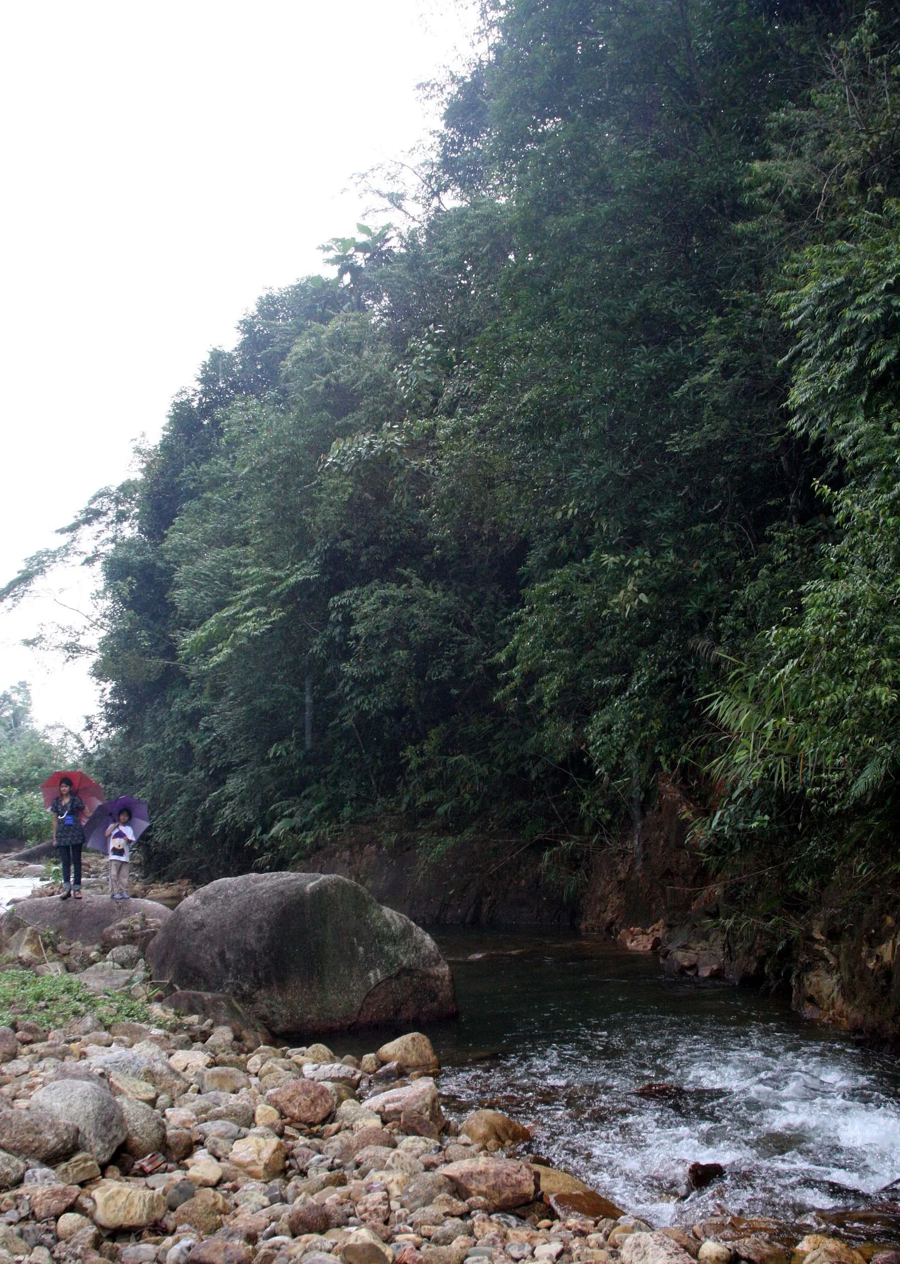 2009 Promluk Property Views (2).JPG