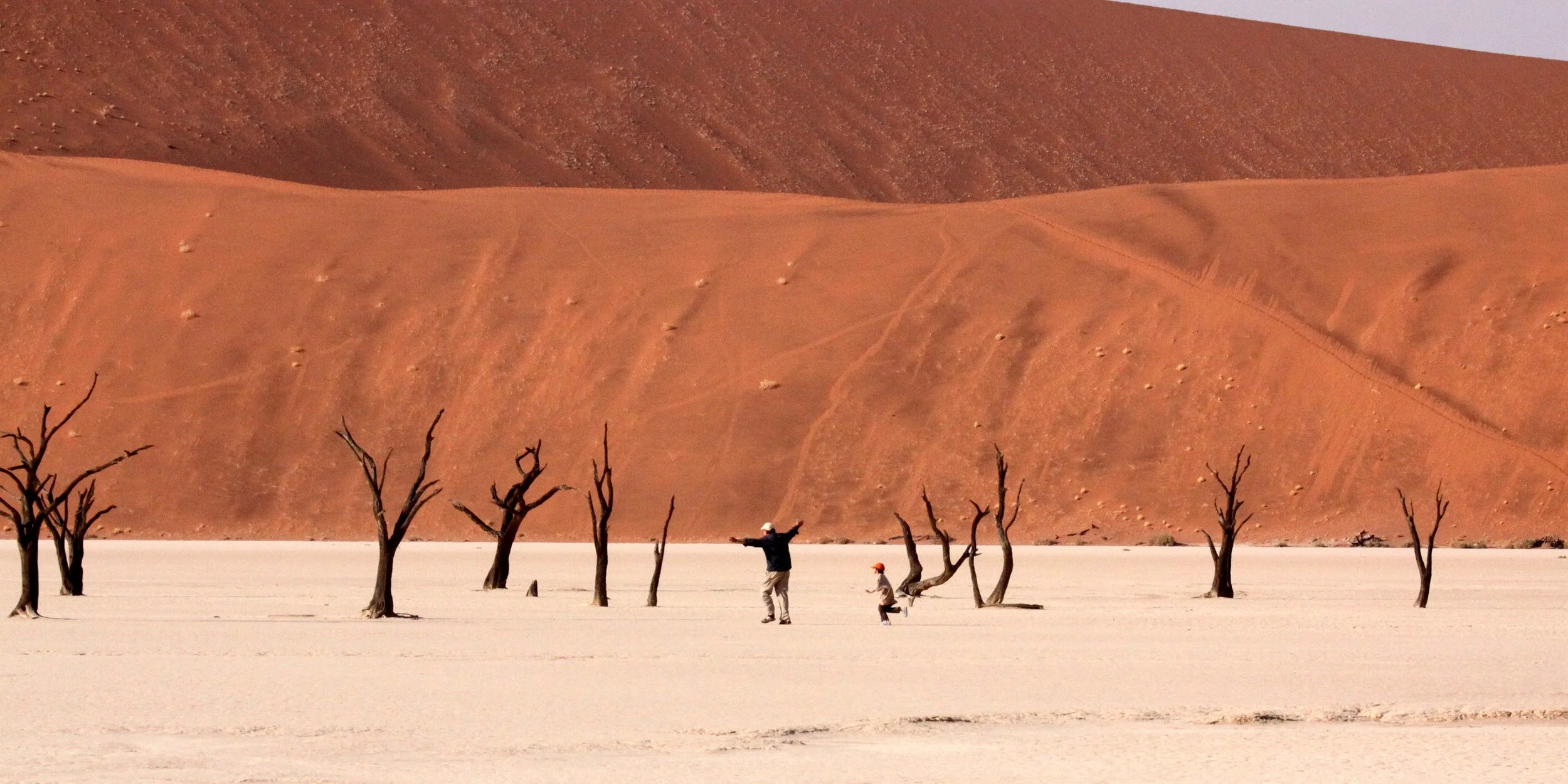 SOSSUSVLEI, NAMIB NAUKLUFT NATIONAL PARK, NAMIBIA - DEAD VLEI (41).JPG