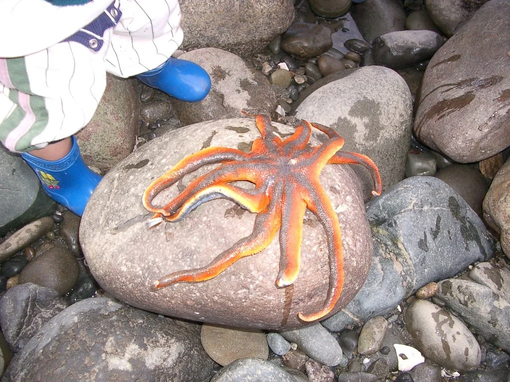 2004-3-12 LAKE FARM DAY AT THE BEACH (23).JPG