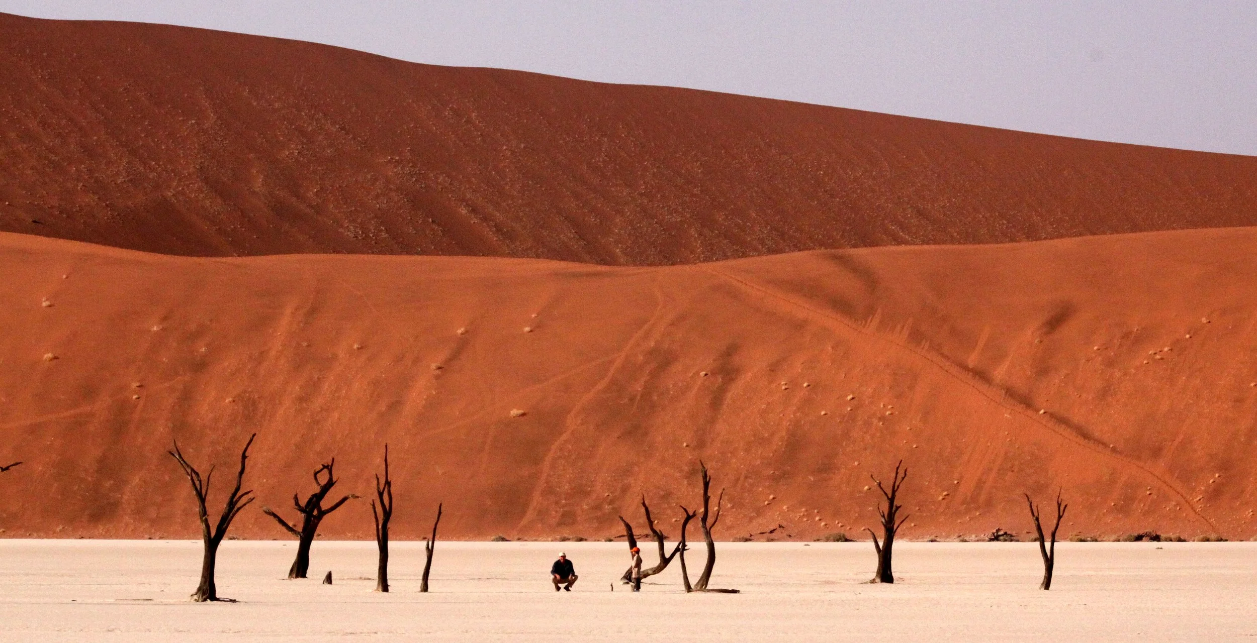 SOSSUSVLEI, NAMIB NAUKLUFT NATIONAL PARK, NAMIBIA - DEAD VLEI (43).JPG