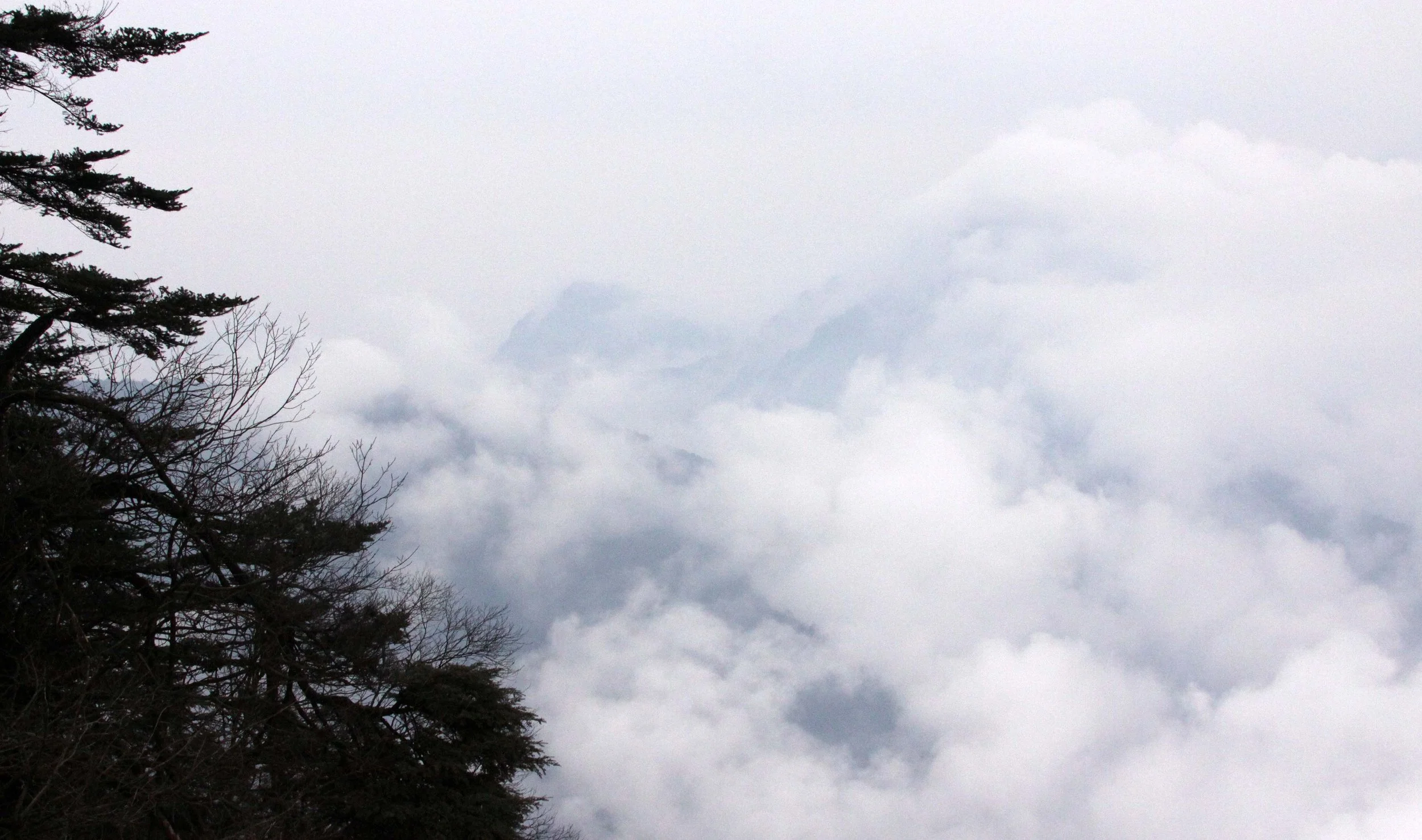 WAWU SHAN GEOPARK - SICHUAN CHINA (37).JPG