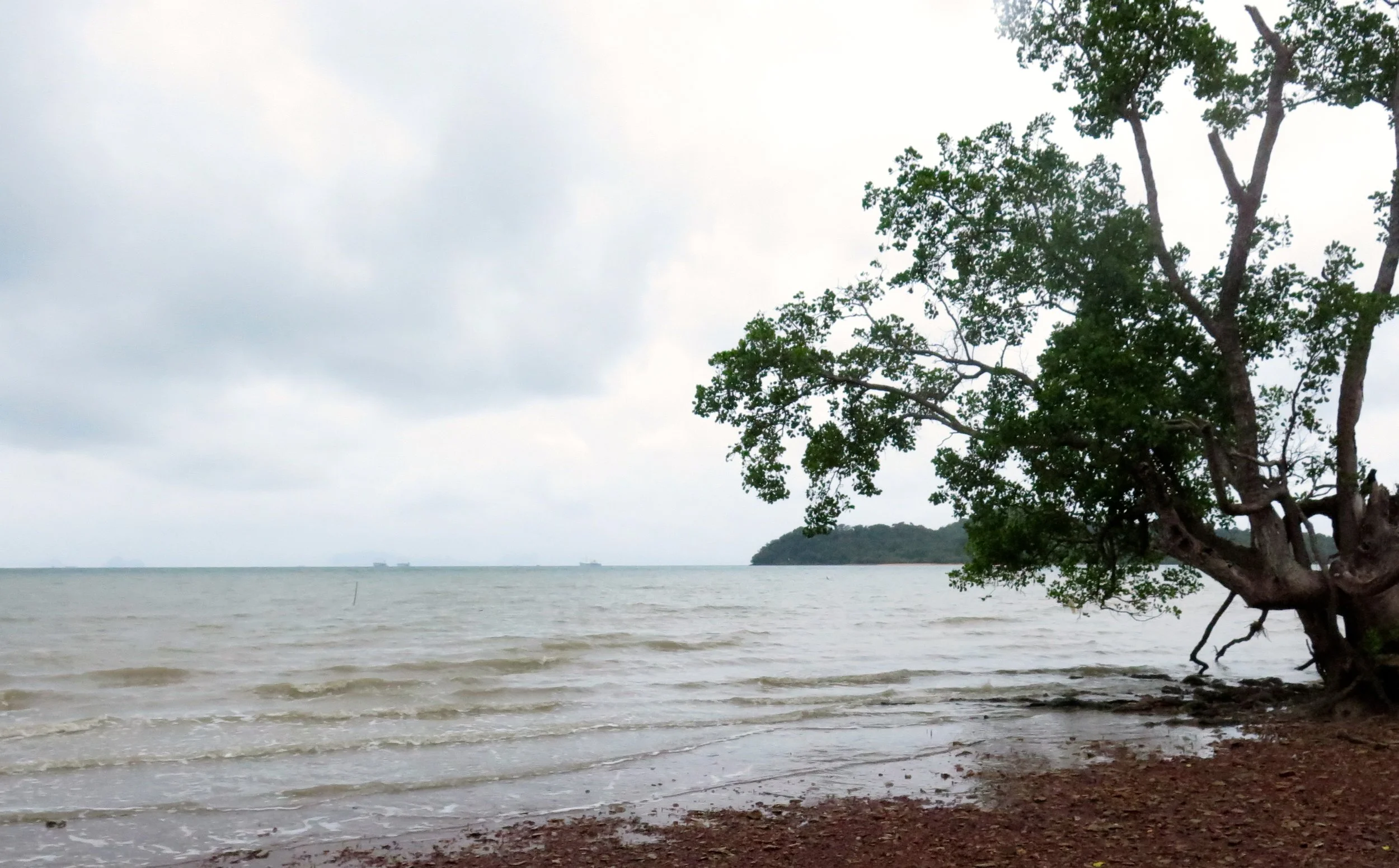 LANTA PROJECT - NOVEMBER 2014 UPDATE (77).JPG