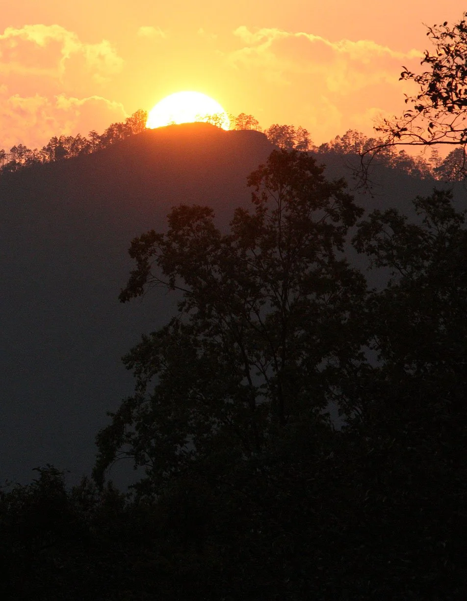 YUNNAN - WULIANGSHAN NATURE RESERVE AND SURROUNDING REGION (53).JPG