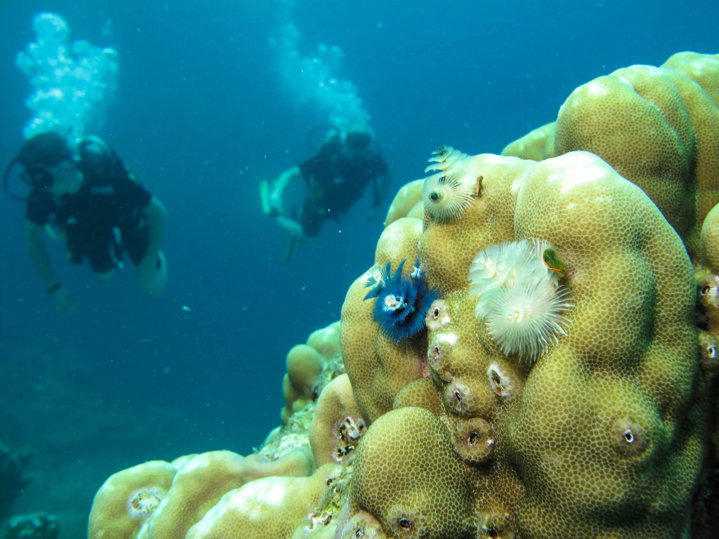 2013 Diving Koh Lanta (20).jpg