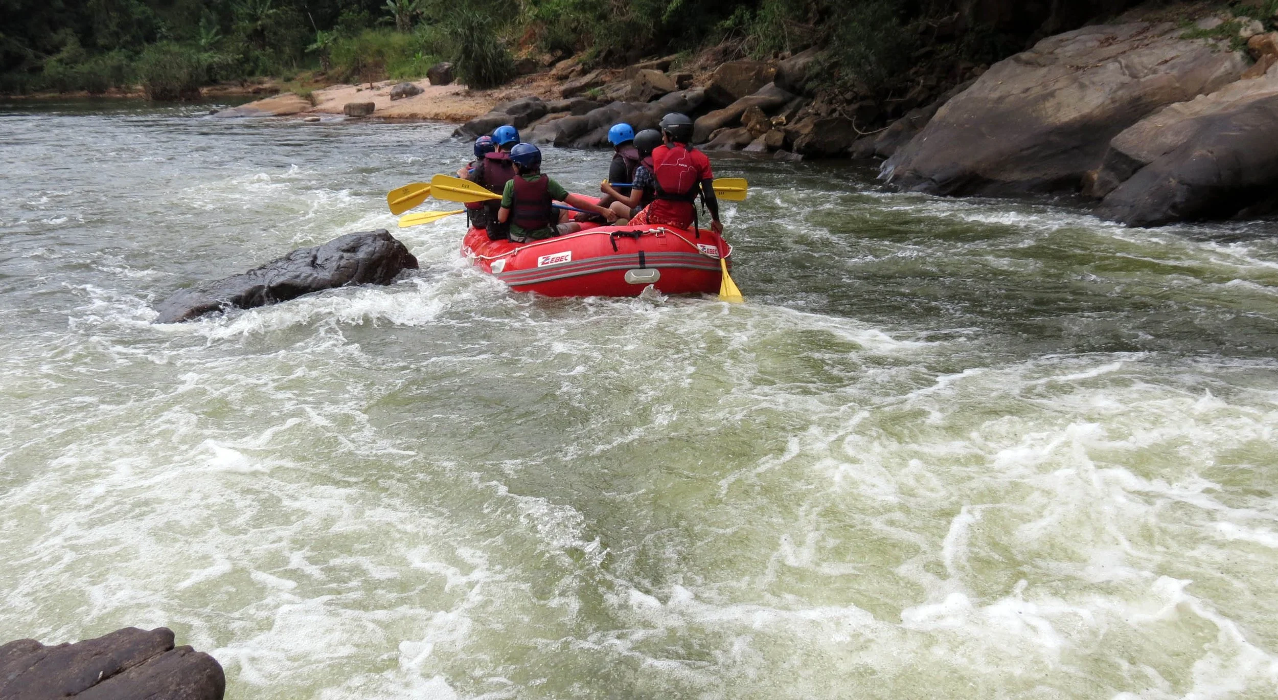 KITULGALA FOREST PRESERVE SRI LANKA (83).JPG