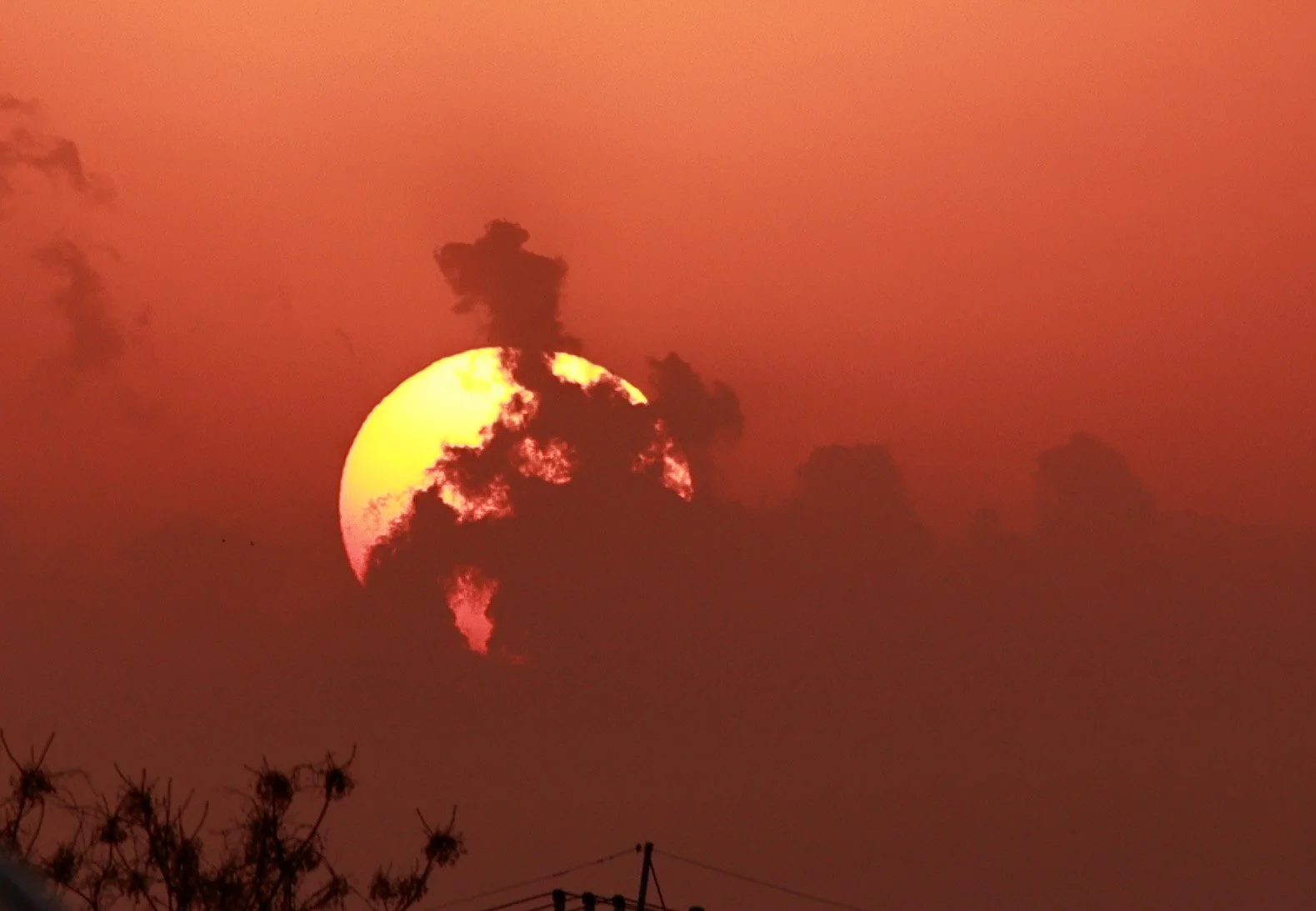 Fukuoka Japan (4).jpg