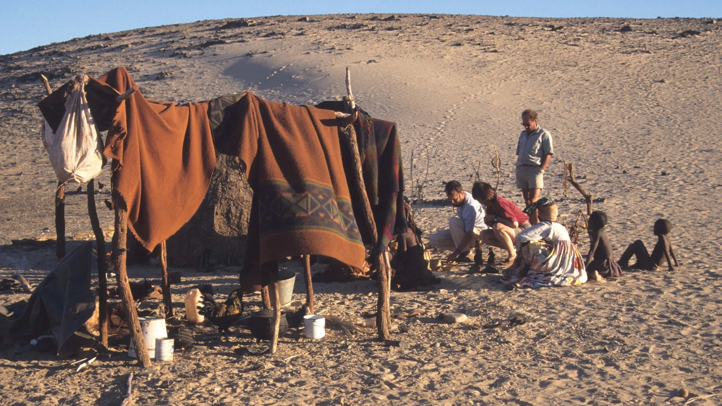 NAMIB DESERT BUSH 2.jpg