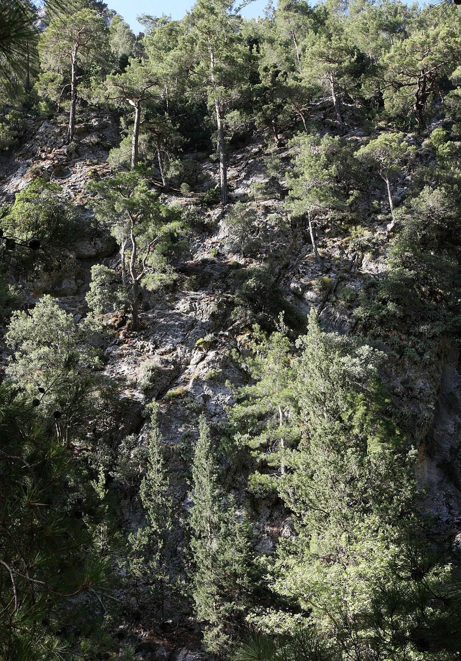 SAMARIA GORGE NATIONAL PARK CRETE (20).JPG