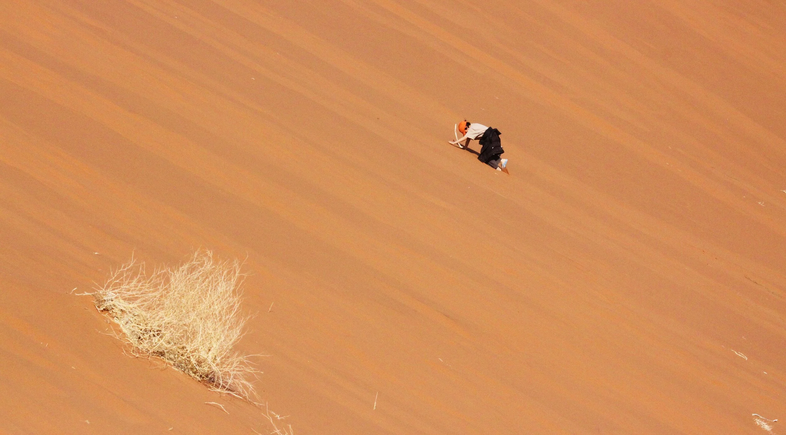SOSSUSVLEI, NAMIB NAUKLUFT NATIONAL PARK, NAMIBIA - DEAD VLEI (100).JPG