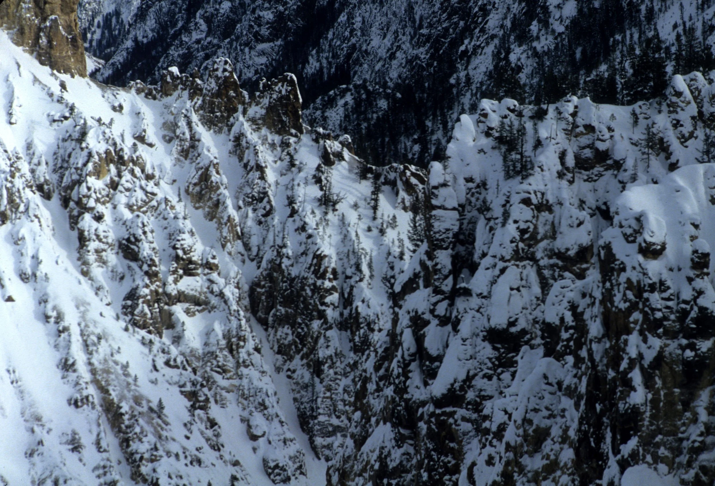 YELLOWSTONE IN WINTER Y.jpg