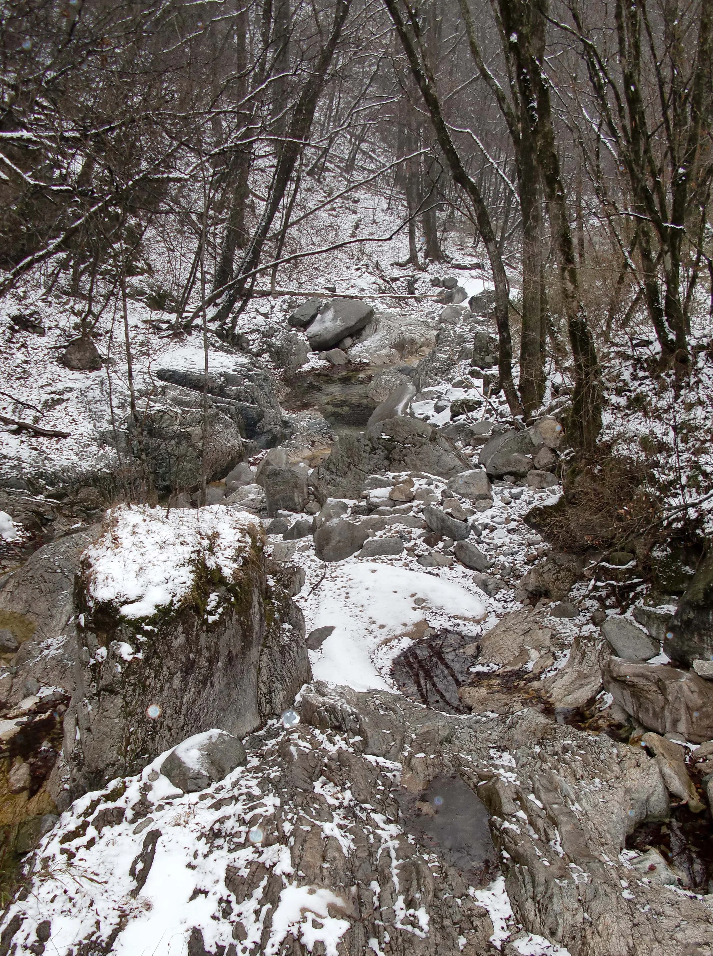 FOPING NATURE RESERVE - SHAANXI PROVINCE CHINA (28).JPG