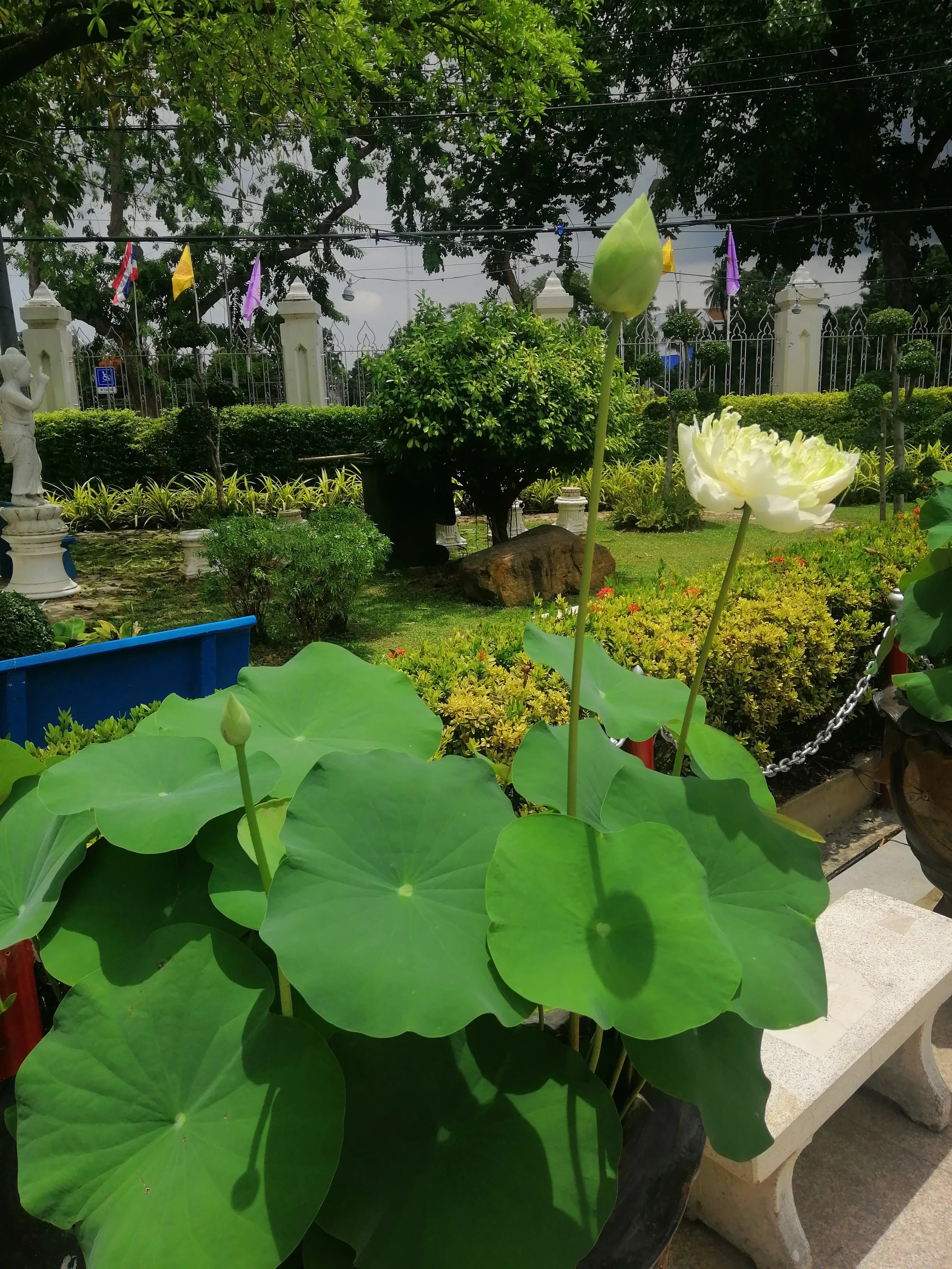 2020 Phitsanulok Wat Phra Si Rattana Mahathat Summer Road Trip (5).jpg