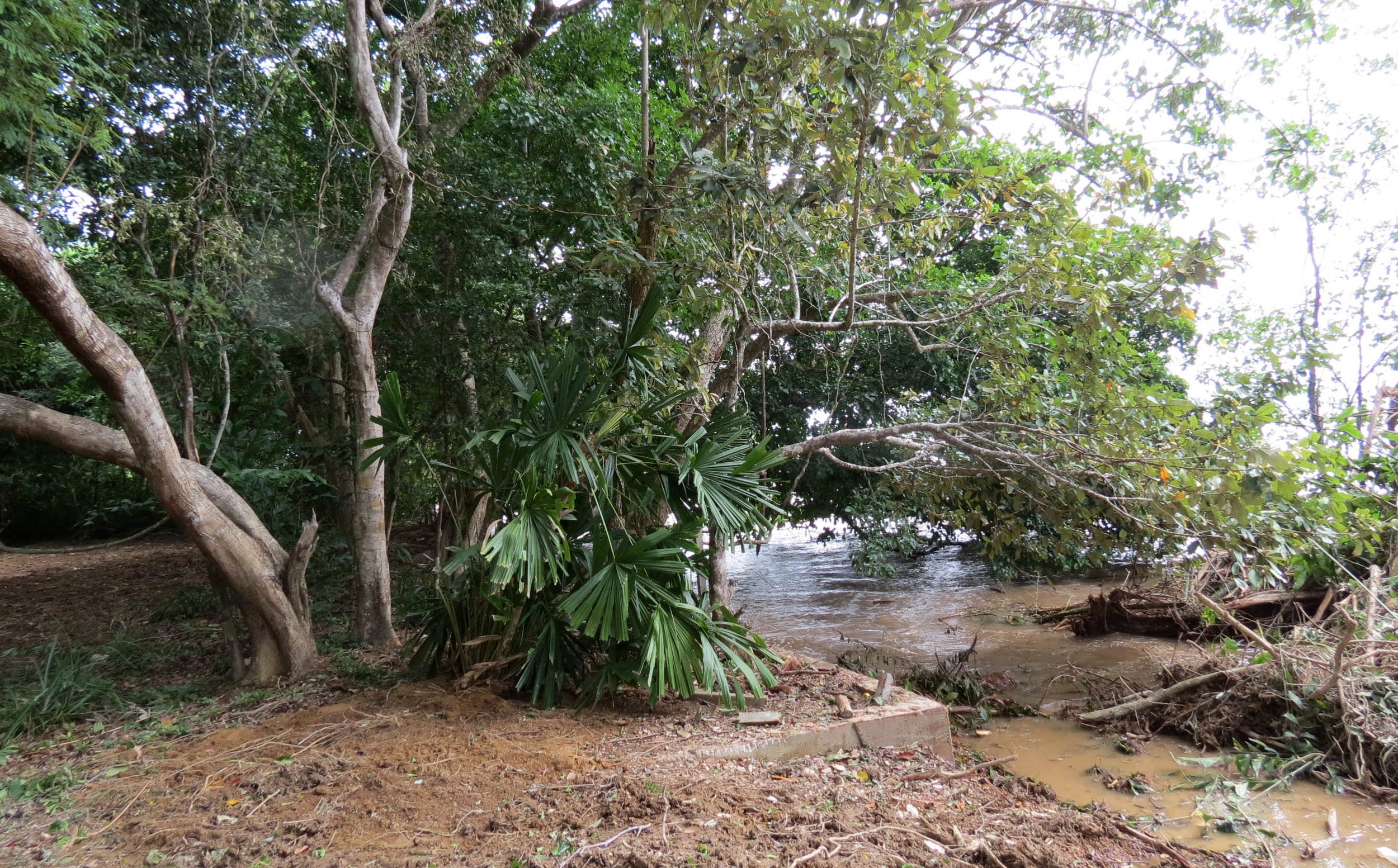 2014 Koh Lanta Build (33).JPG