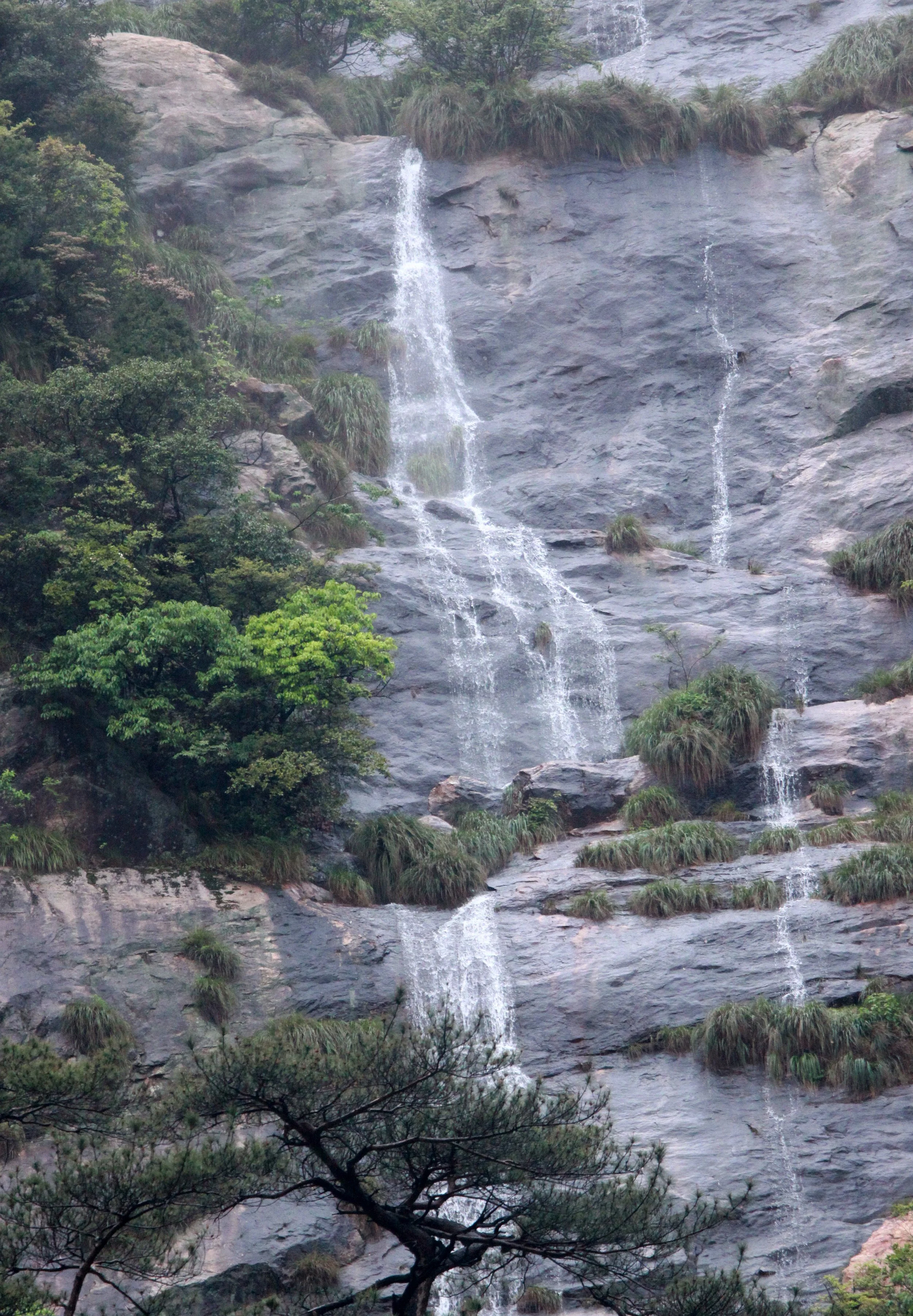 GUNIUJIANG NATURE RESERVE - ANHUI PROVINCE CHINA (89).JPG