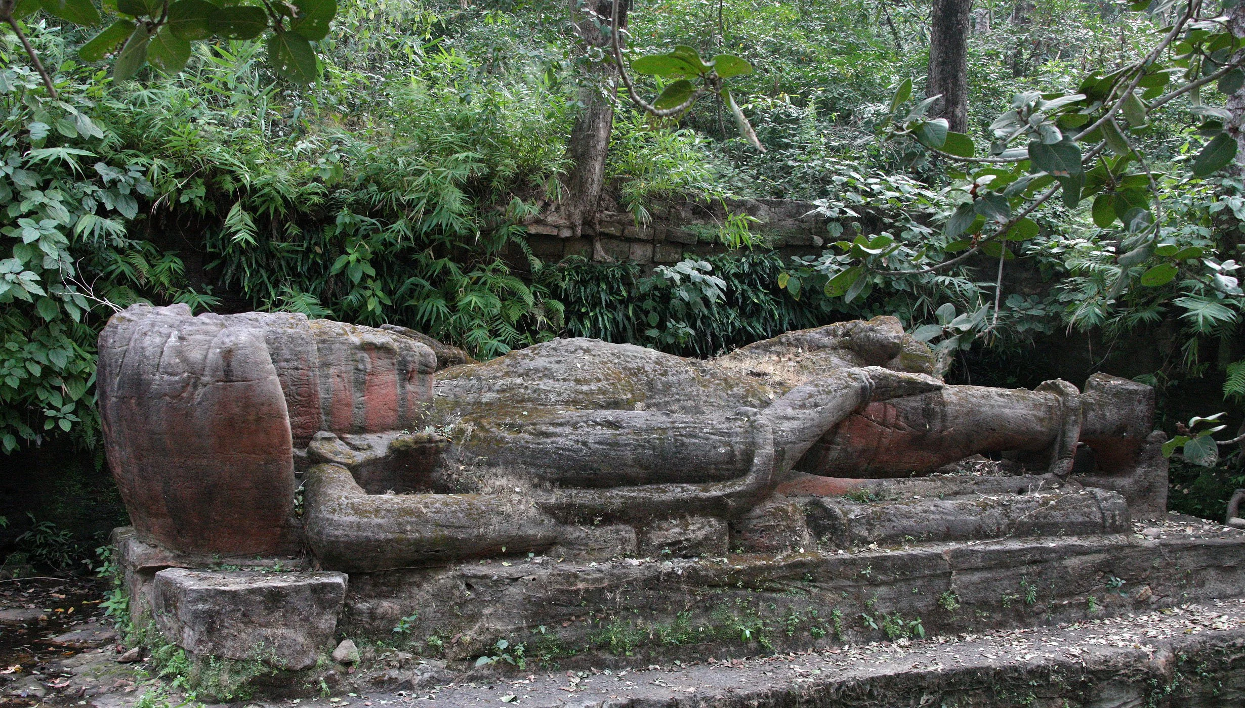 MADHYA PRADESH - BANDHAVGAR NATIONAL PARK MADHYA PRADESH INDIA (24).JPG