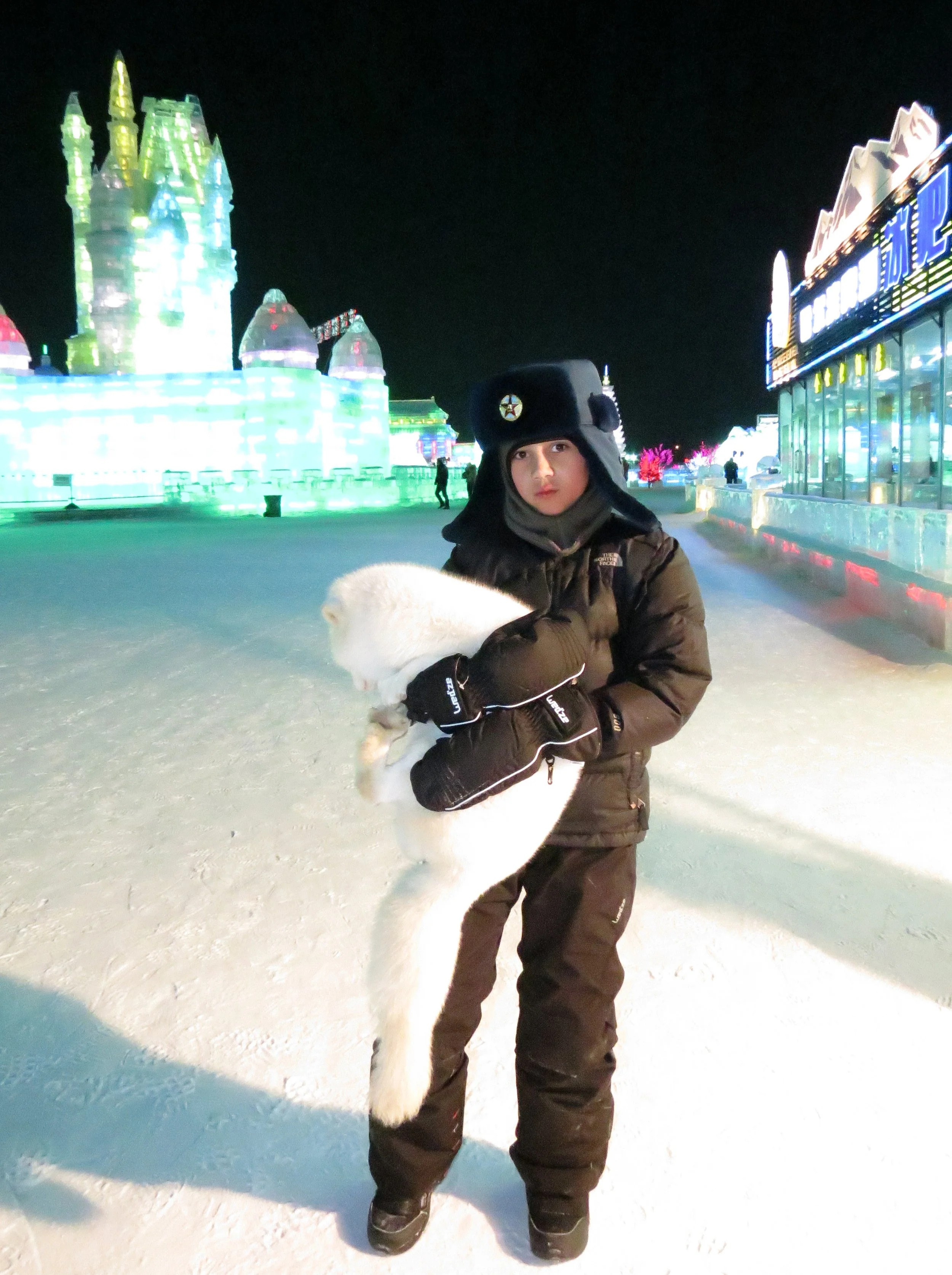 HARBIN SNOW & ICE FESTIVAL FEBRUARY 2012 (4).JPG