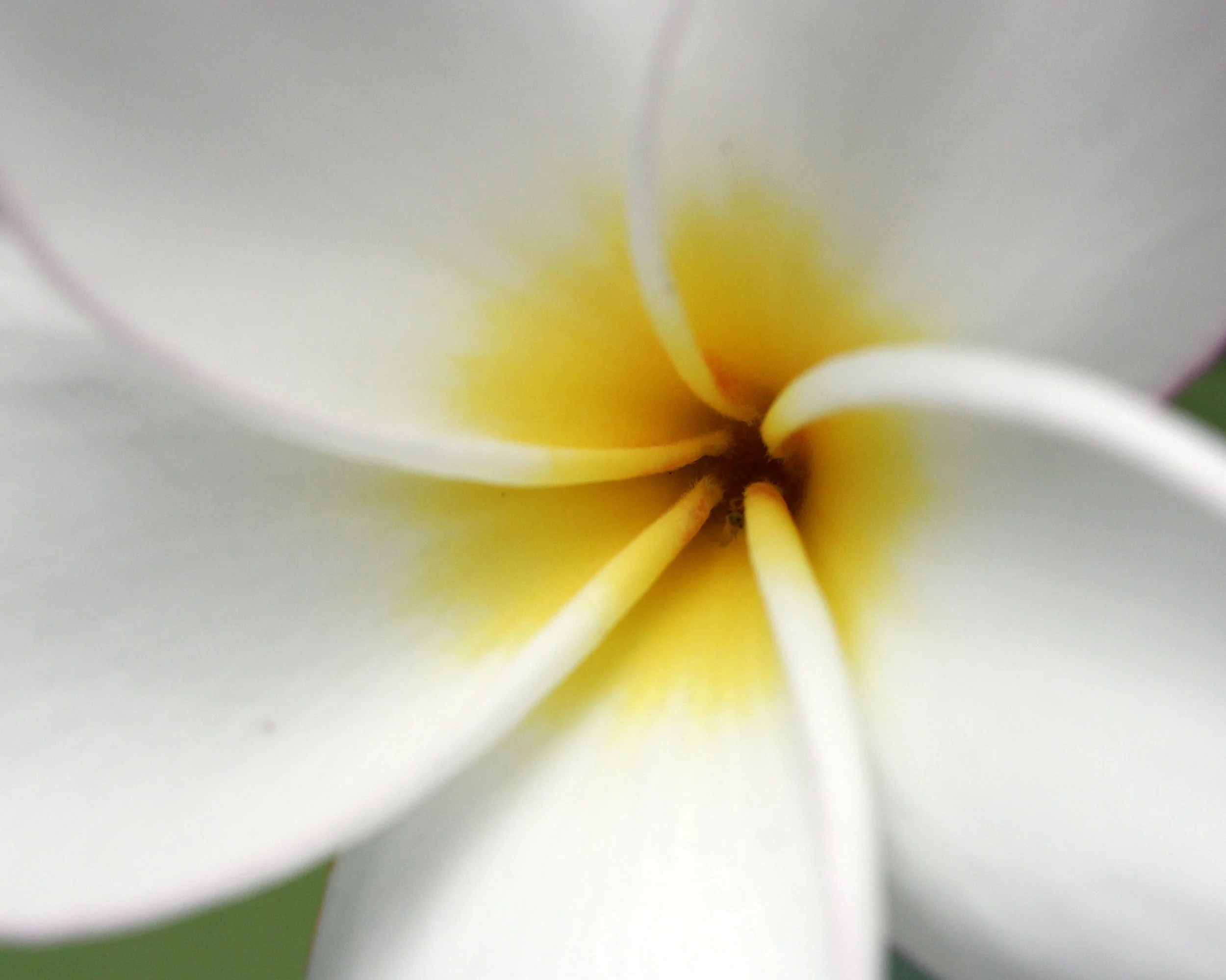 2013 Cha'am and Petchaburi with Family & Friends (25).JPG