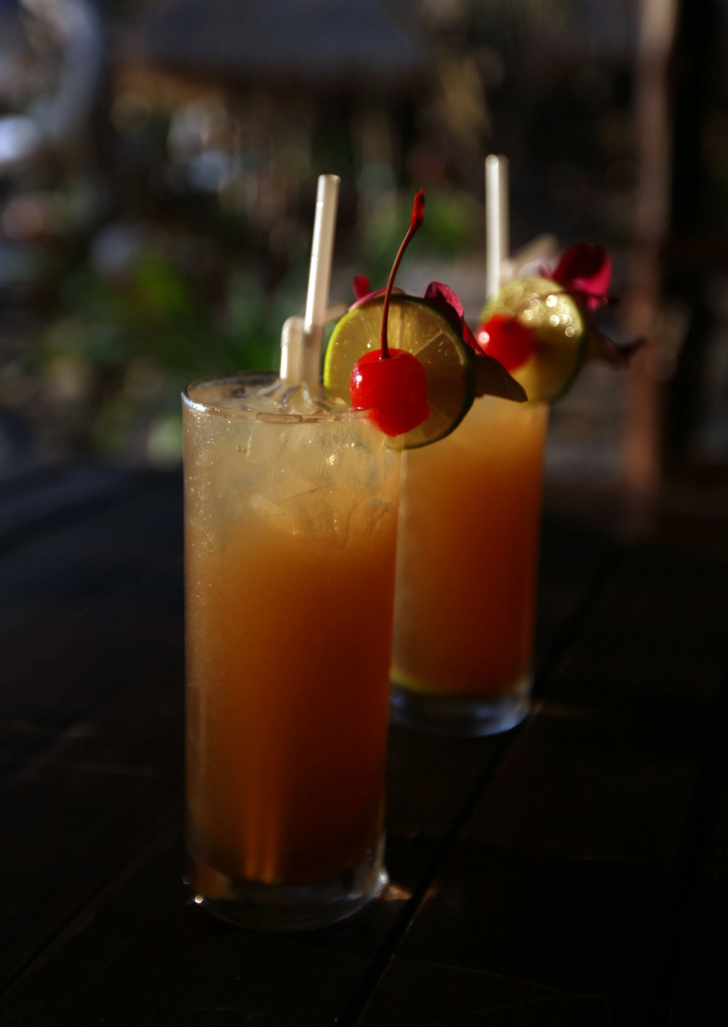 2015 Koh Lanta Build and Fun (84).JPG