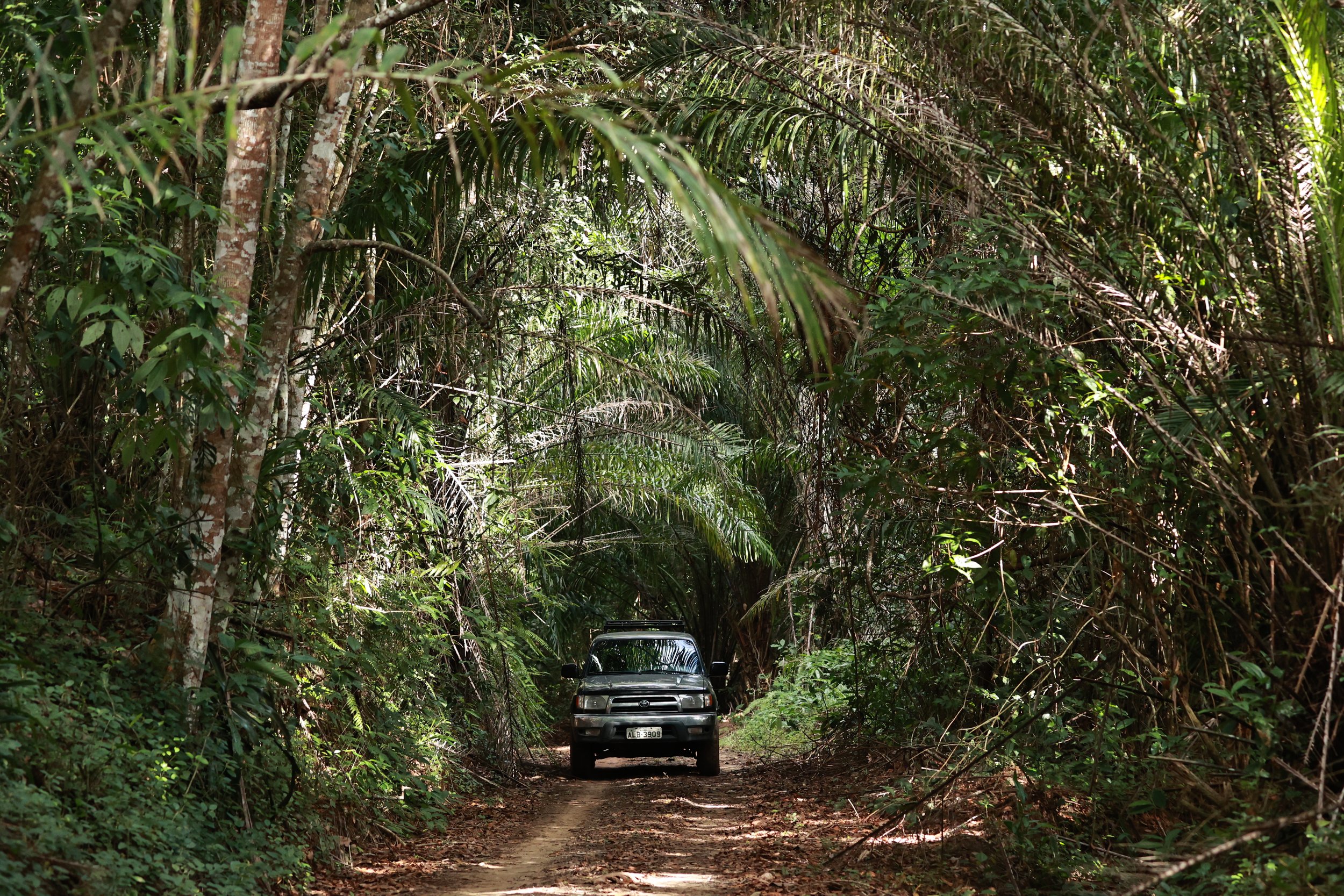 Illeus, Bahia Brazil, Una Township Area (562).JPG