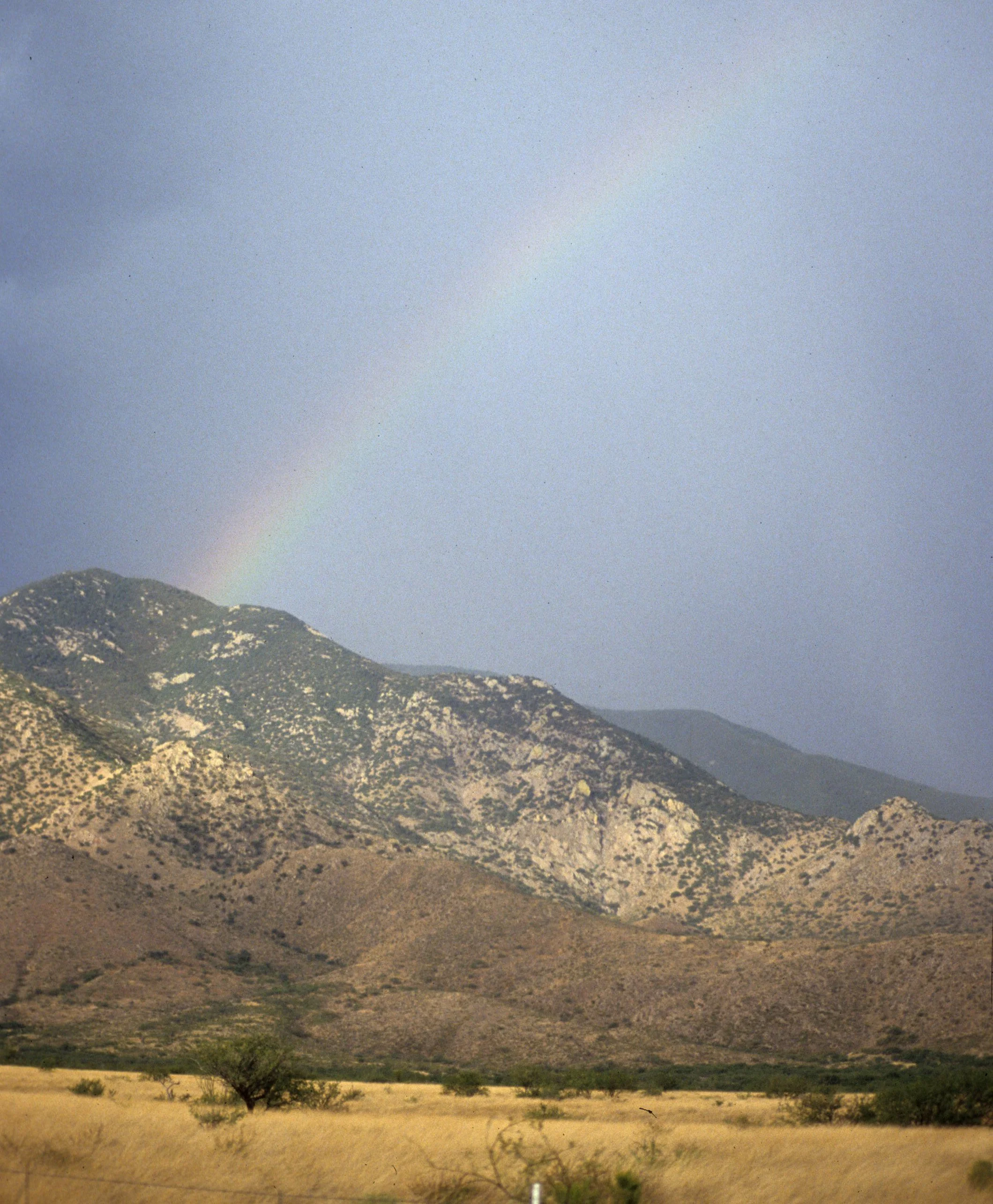 ARIZONA - MADERA CANYON - MONSOON RAINBOW.jpg