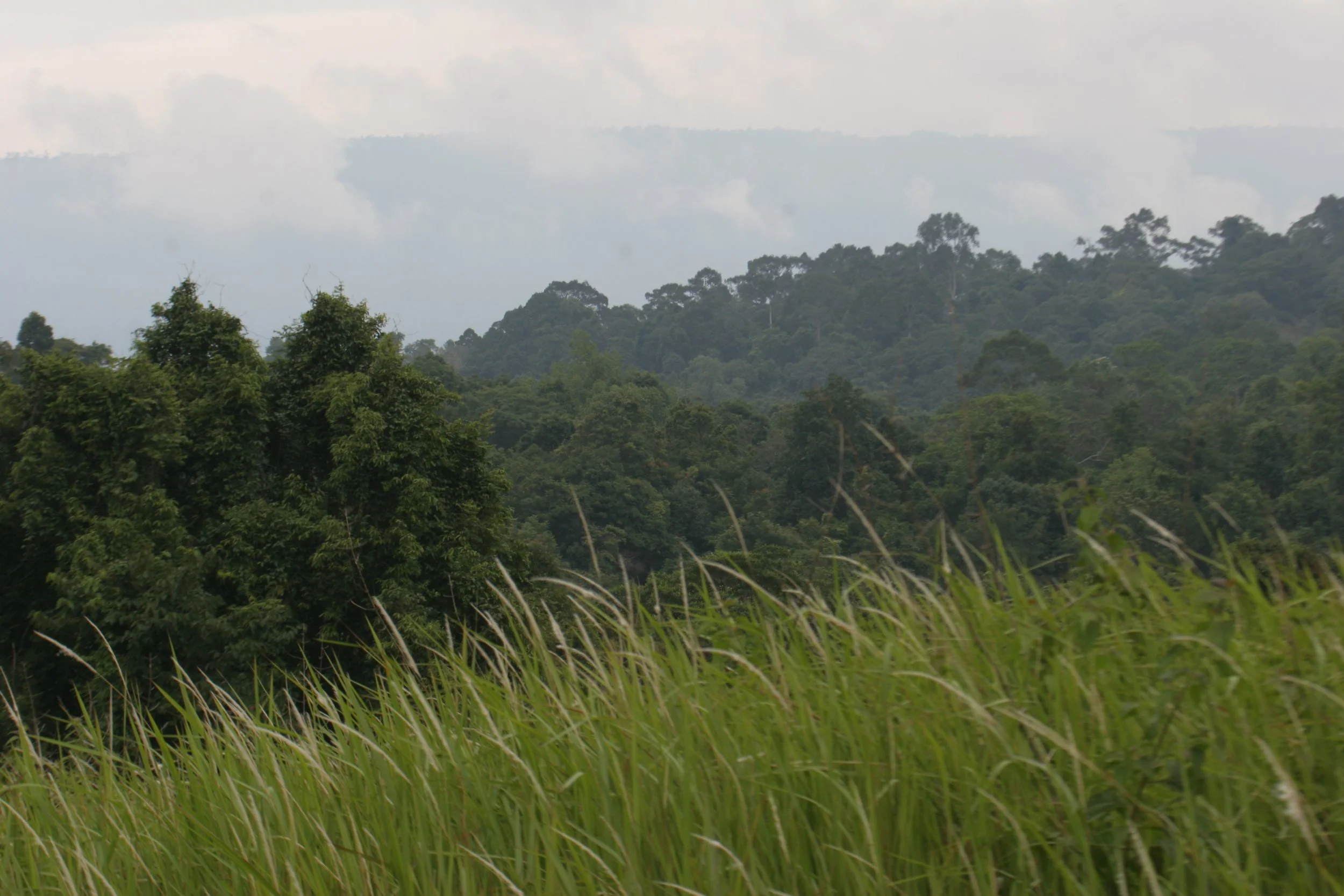 2008 Khao Yai National Park Road Trip with Cokie & Som (112).jpg
