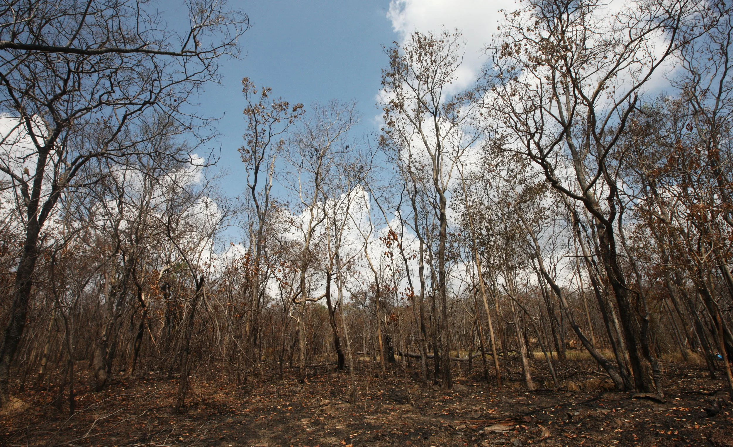 2015 Khao Pang Ma Nonhunting Area (29).JPG