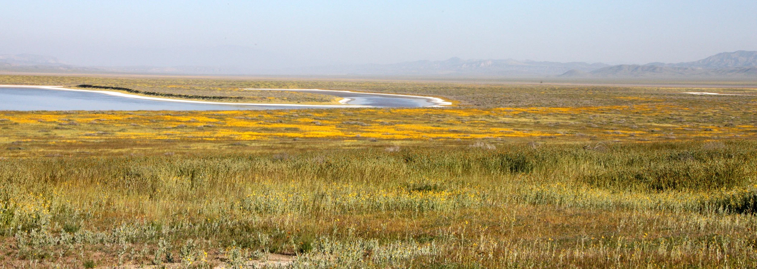 CARRIZO PLAIN NATIONAL MONUMENT - VIEWS OF THE REGION - ROADTRIP 2010 (9).JPG