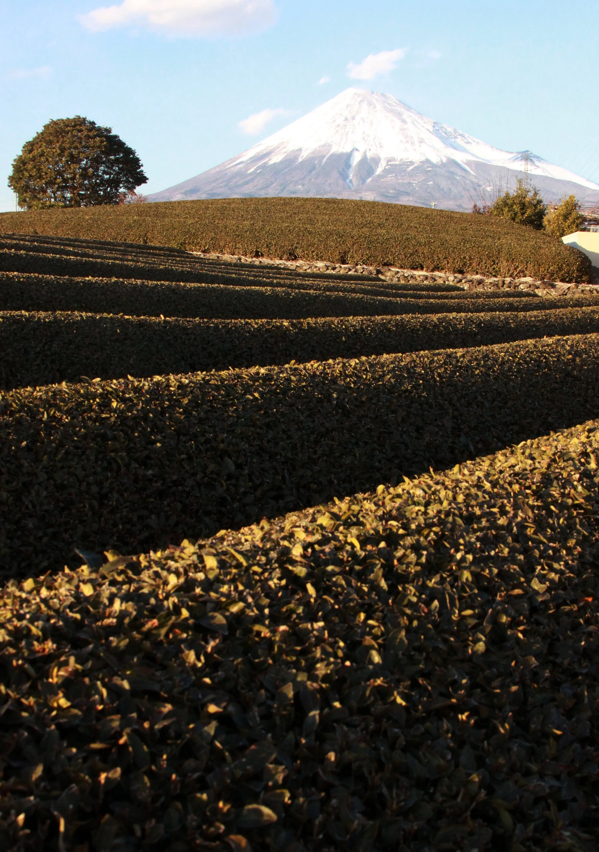 MOUNT FUJY - AS SEEN FROM FUJI CITY JAPAN (9).JPG