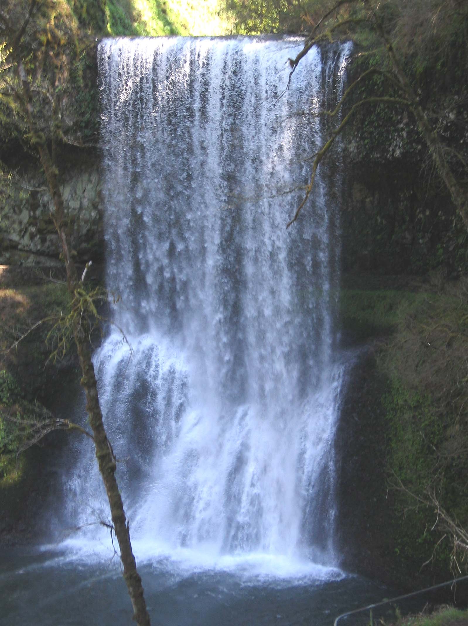 OREGON - SILVER FALLS STATE PARK (8).jpg