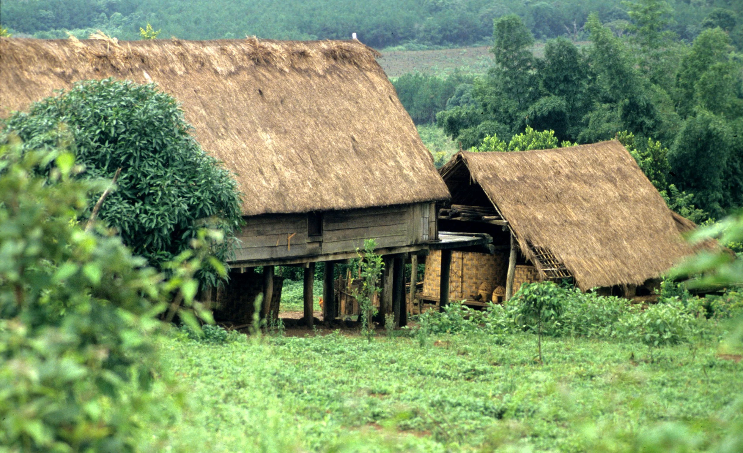 HILLTRIBE - ADAY HILL TRIBE NEAR BUNMETOUT F.jpg