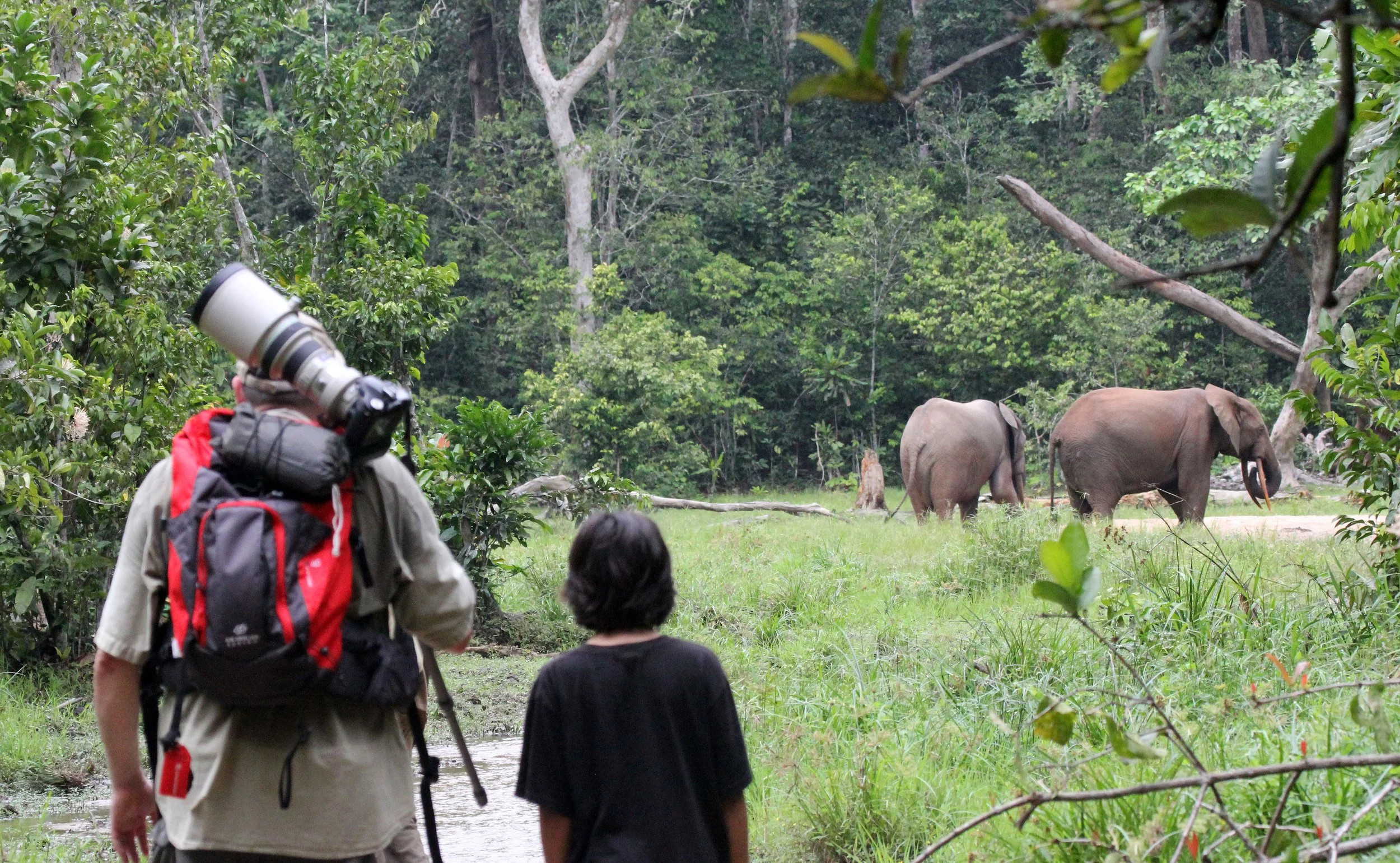 DZANGA NDOKI NATIONAL PARK CENTRAL AFRICAN REPUBLIC (16).JPG