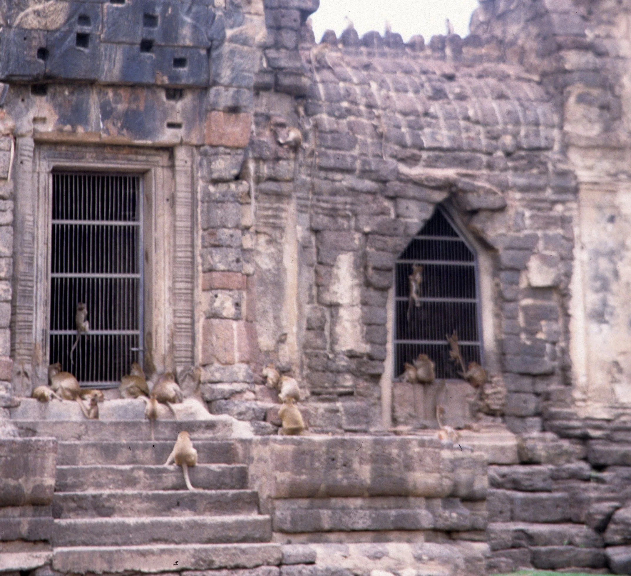 LOPBURI - MONKEY TEMPLE F.jpg