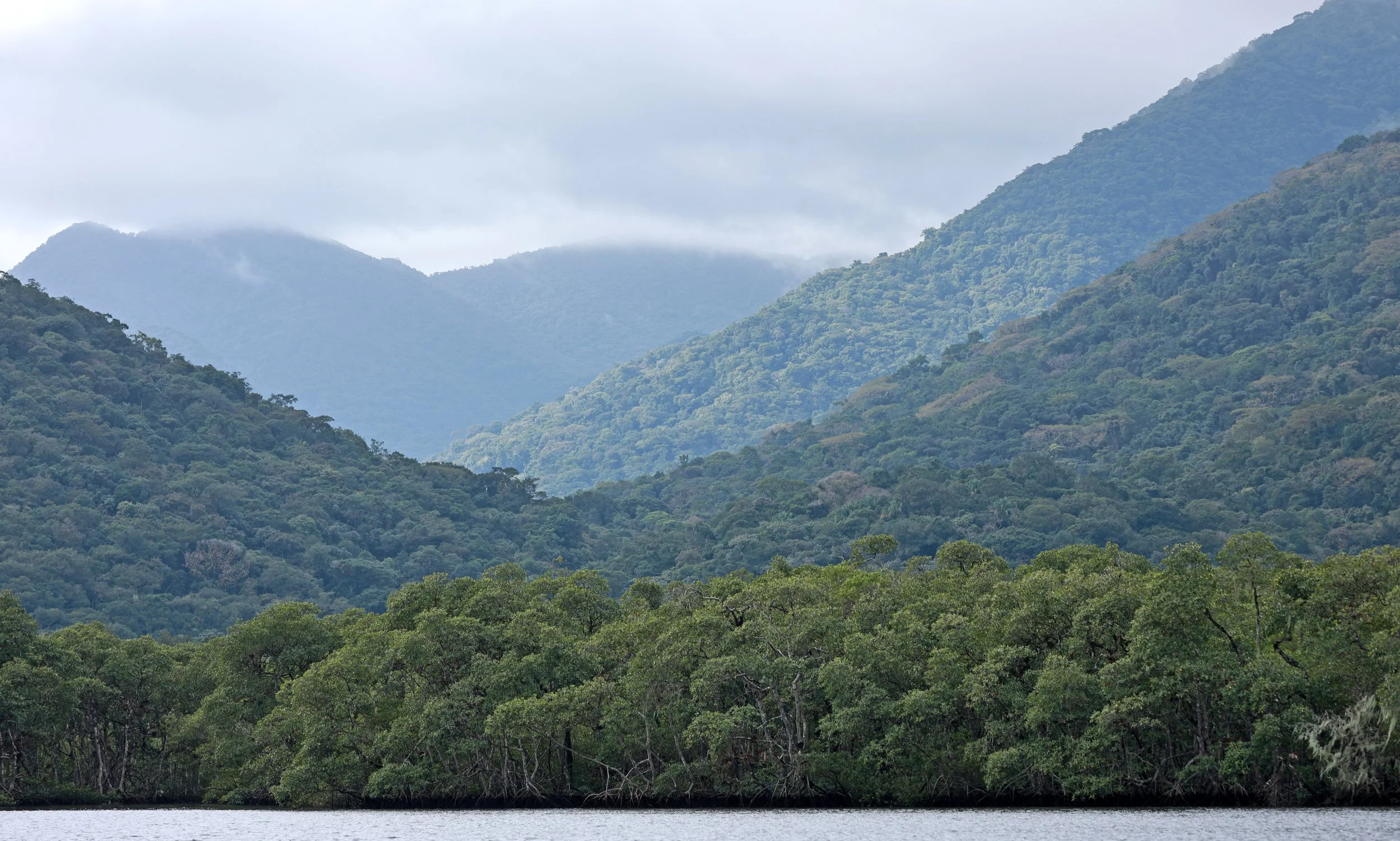 Superagüi National Park