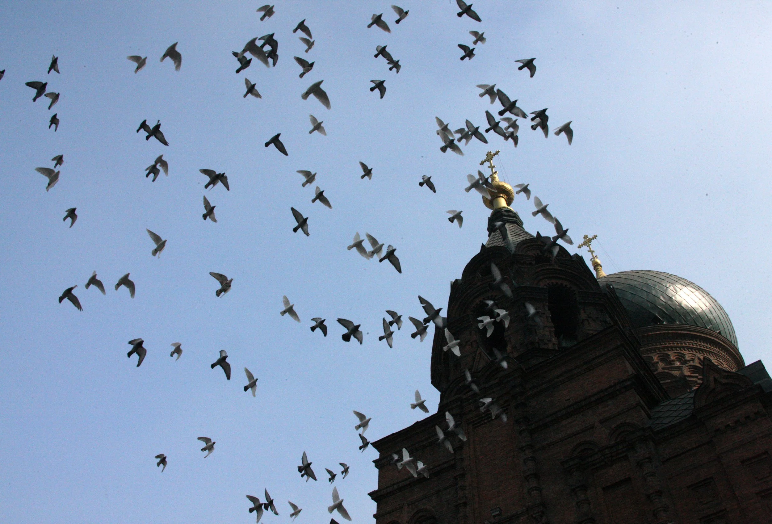 SAINT SOPHIA'S CATHEDRAL HARBIN CHINA (85).JPG