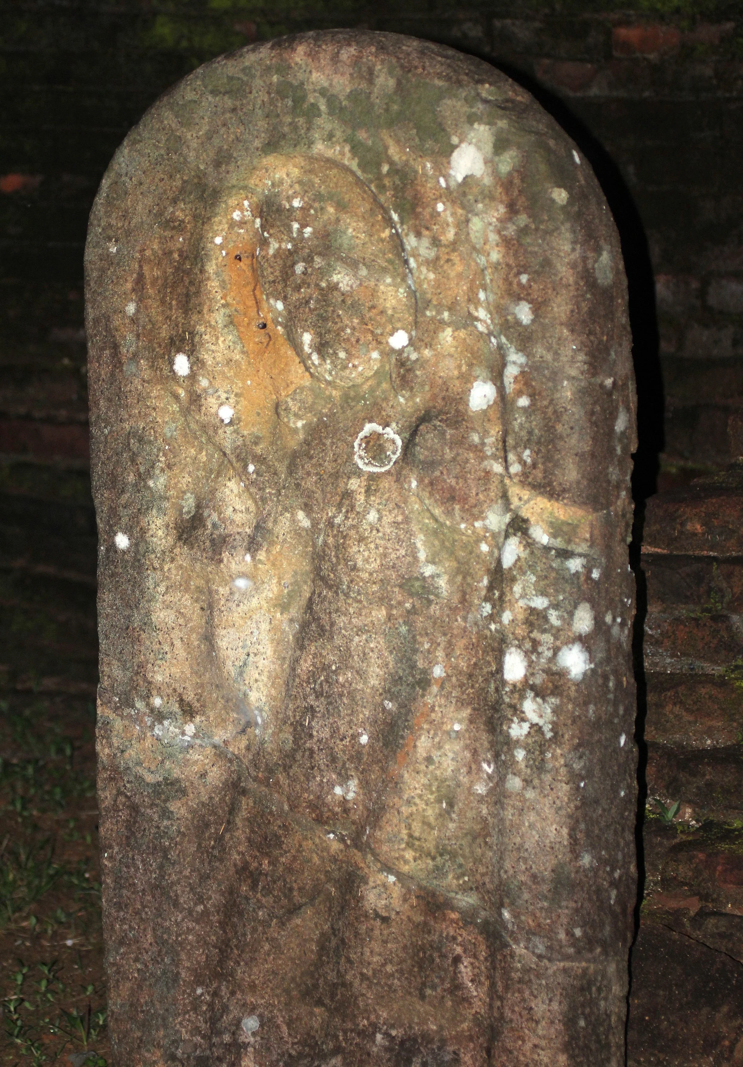 SIRIGIYA FOREST AREA SRI LANKA.JPG