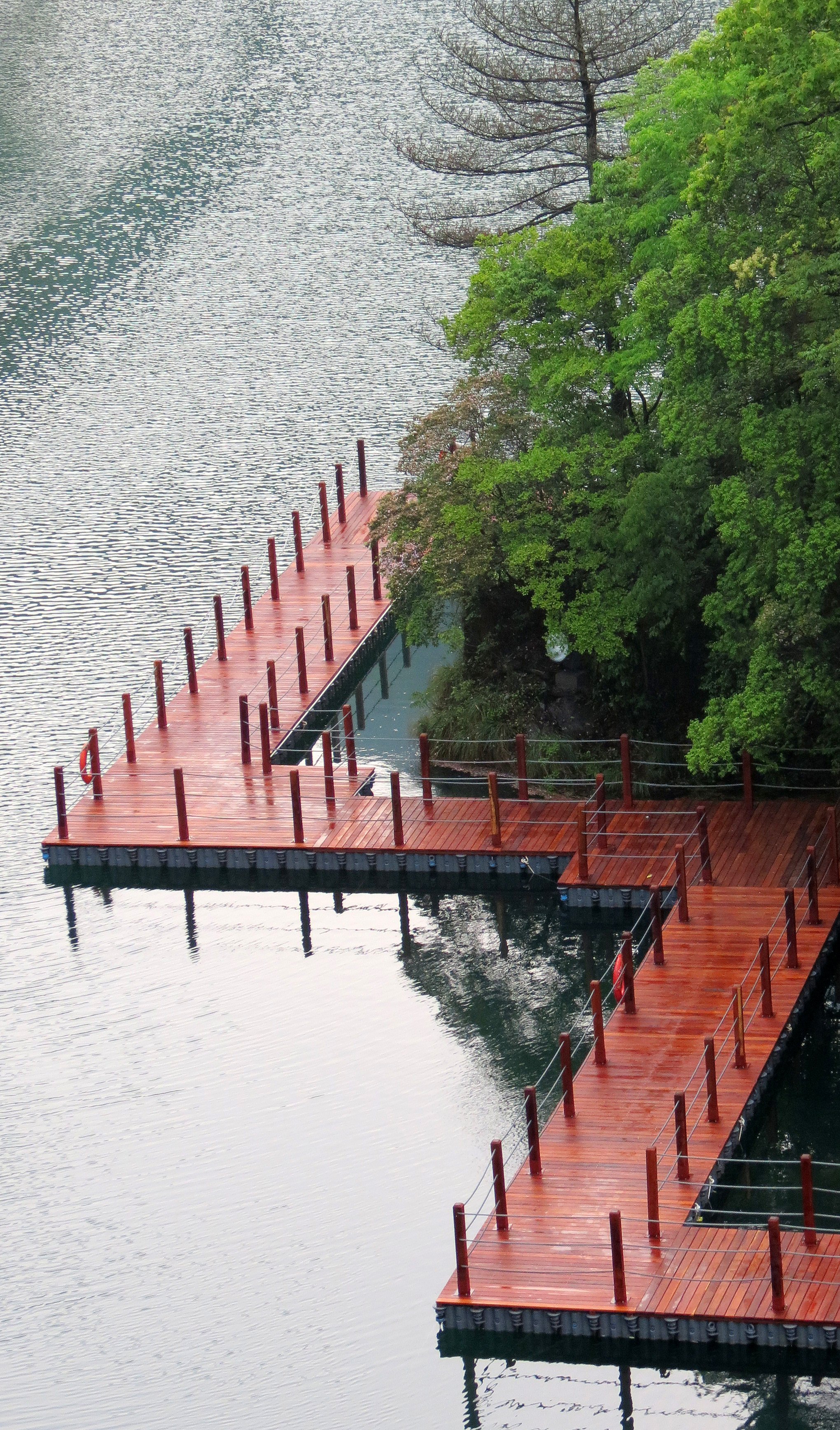 GUNIUJIANG NATURE RESERVE - ANHUI PROVINCE CHINA (46).JPG