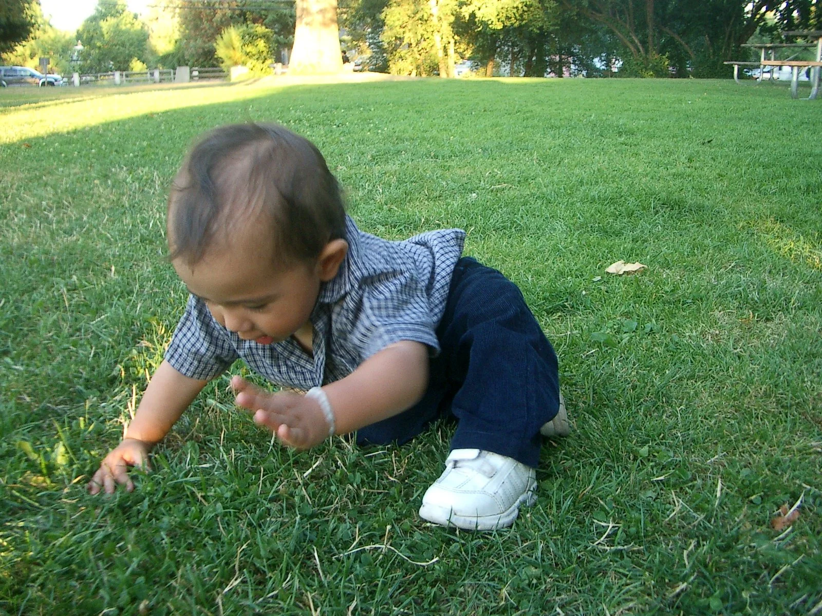 2003-7-23 TRIP FOR OREGON WEDDING (44).JPG