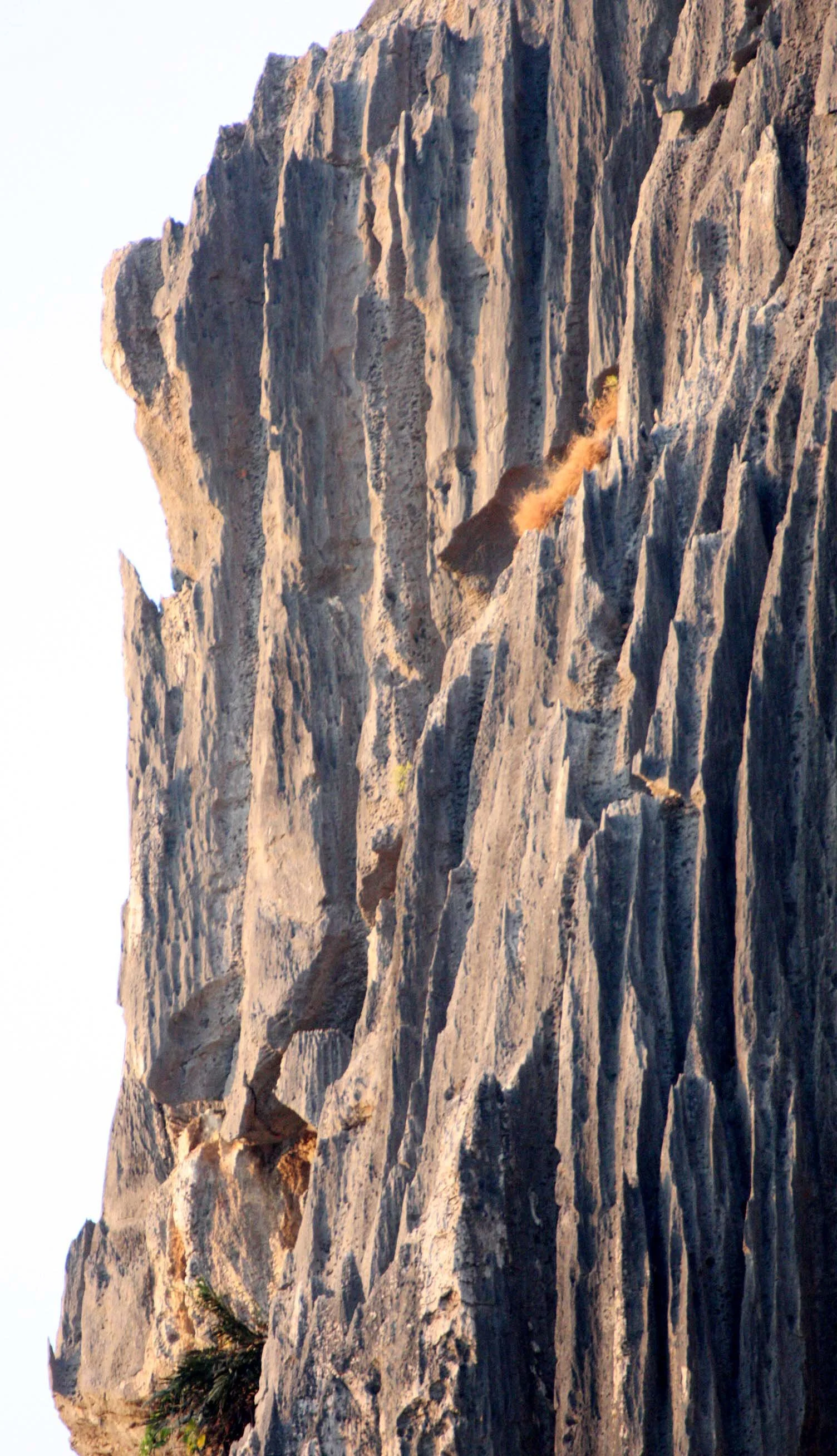 KHAO SAM ROI YOT THAILAND - 2009 (27).JPG