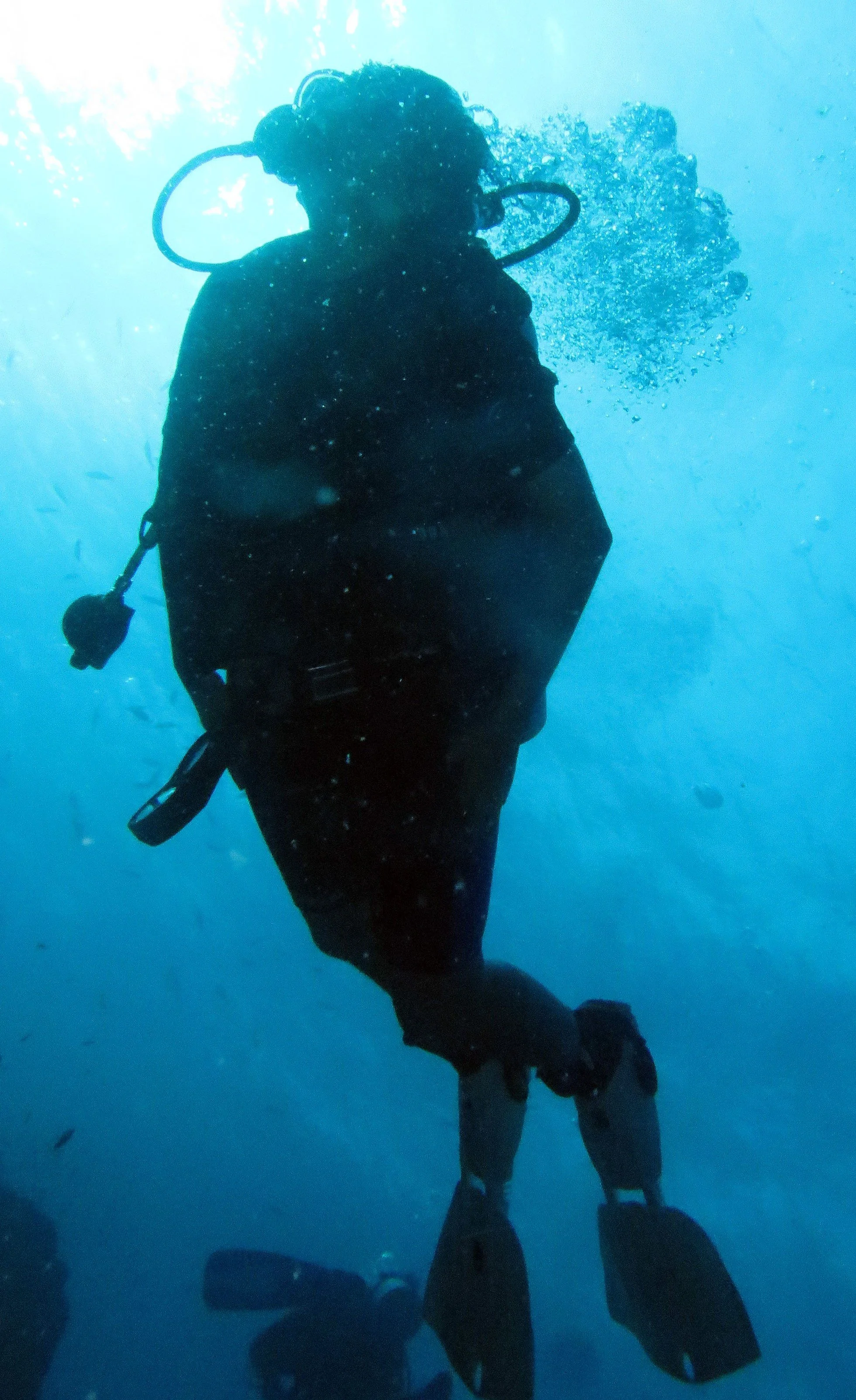 2016 Similans Trip with ISB GCW (53).JPG