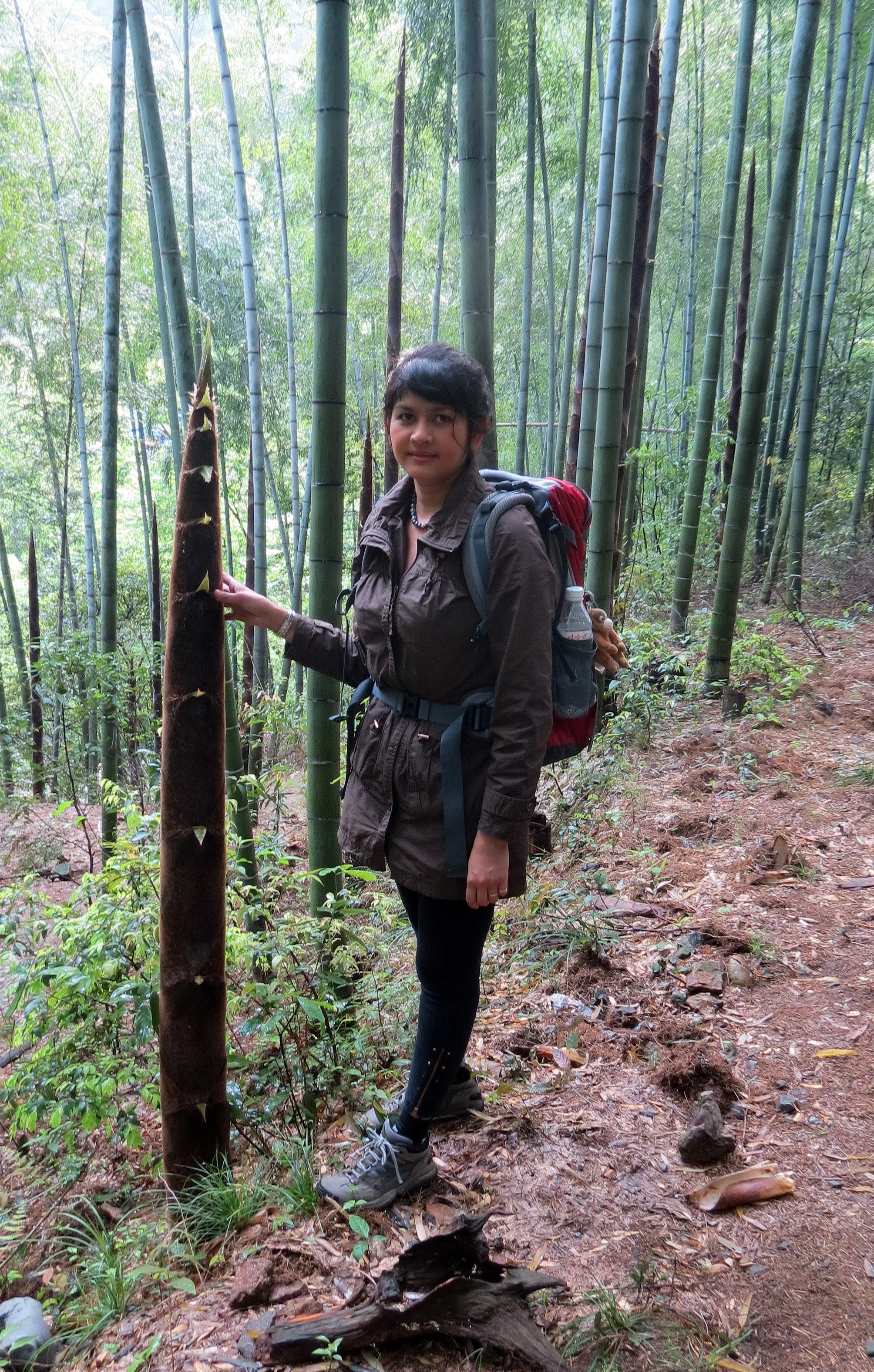 GUNIUJIANG NATURE RESERVE - ANHUI PROVINCE CHINA (77).JPG